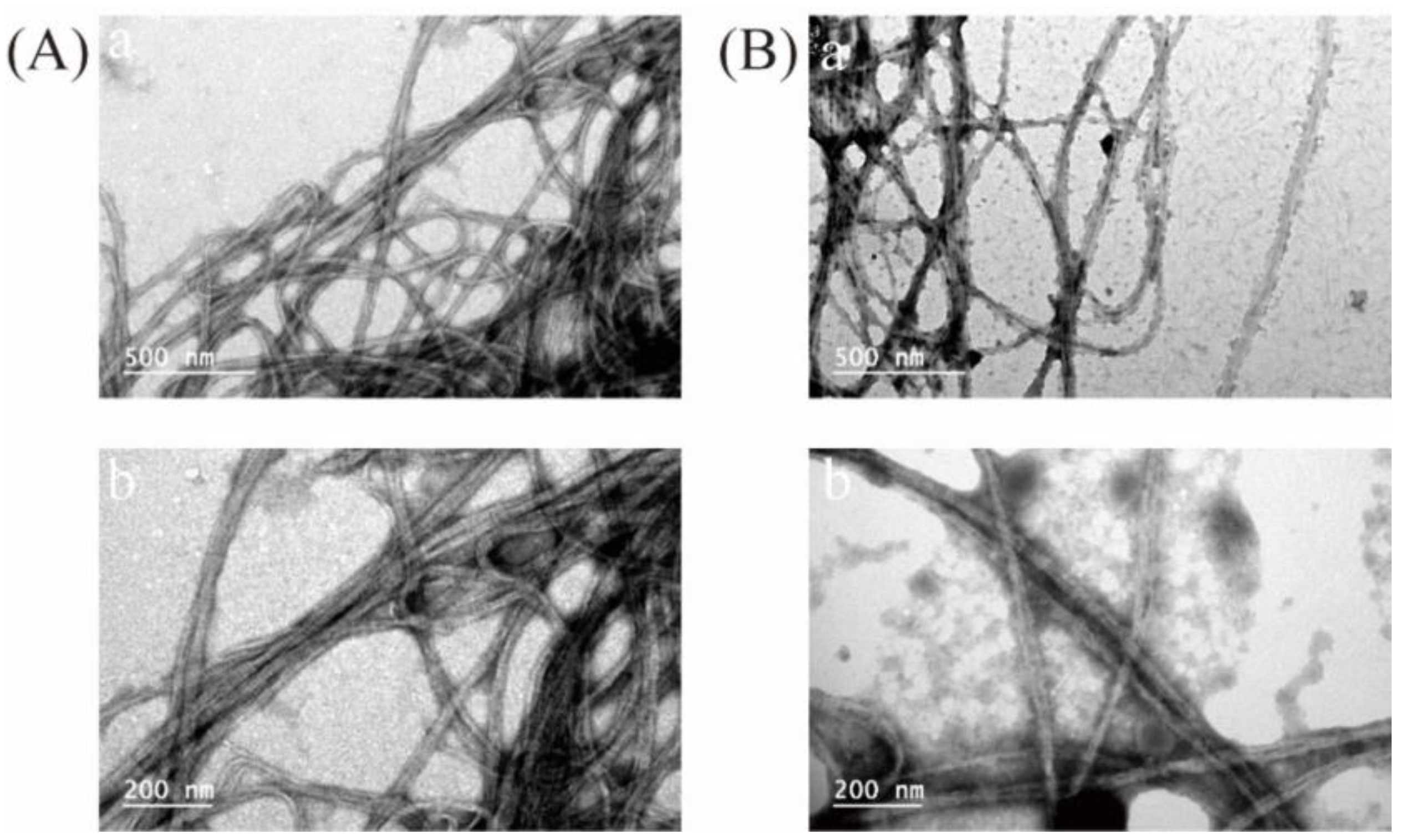 Marinedrugs 21 00159 g008