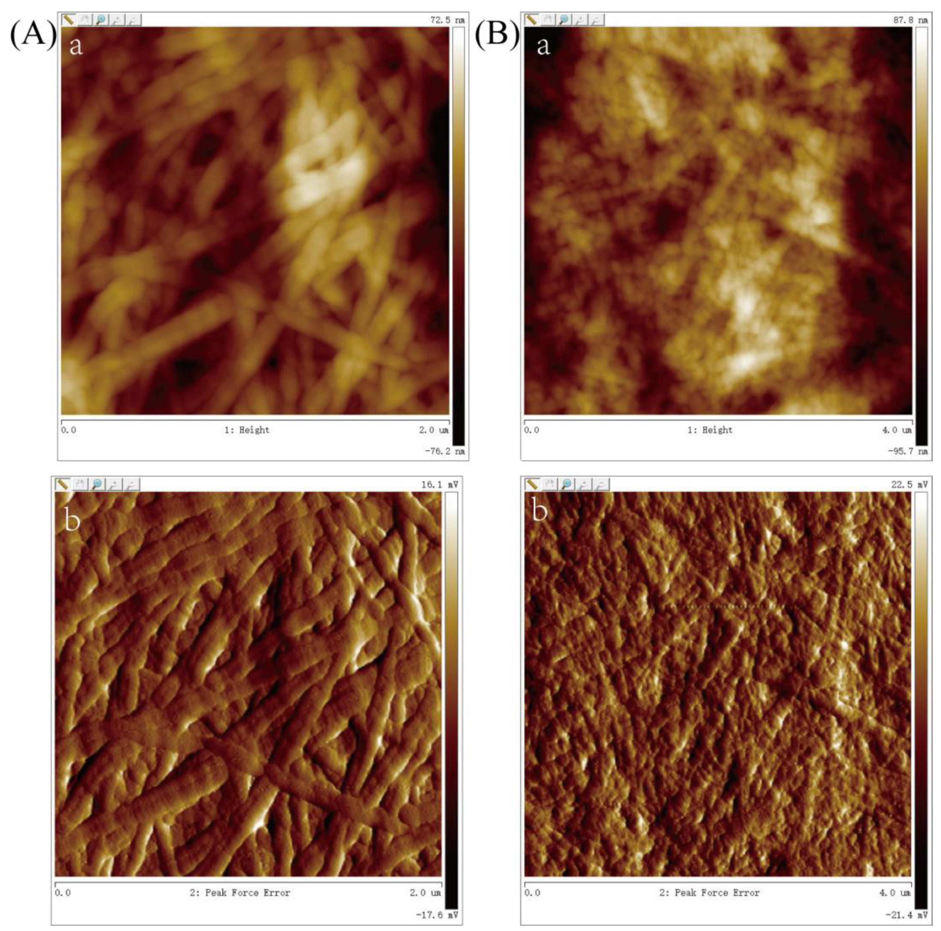 Marinedrugs 21 00159 g009