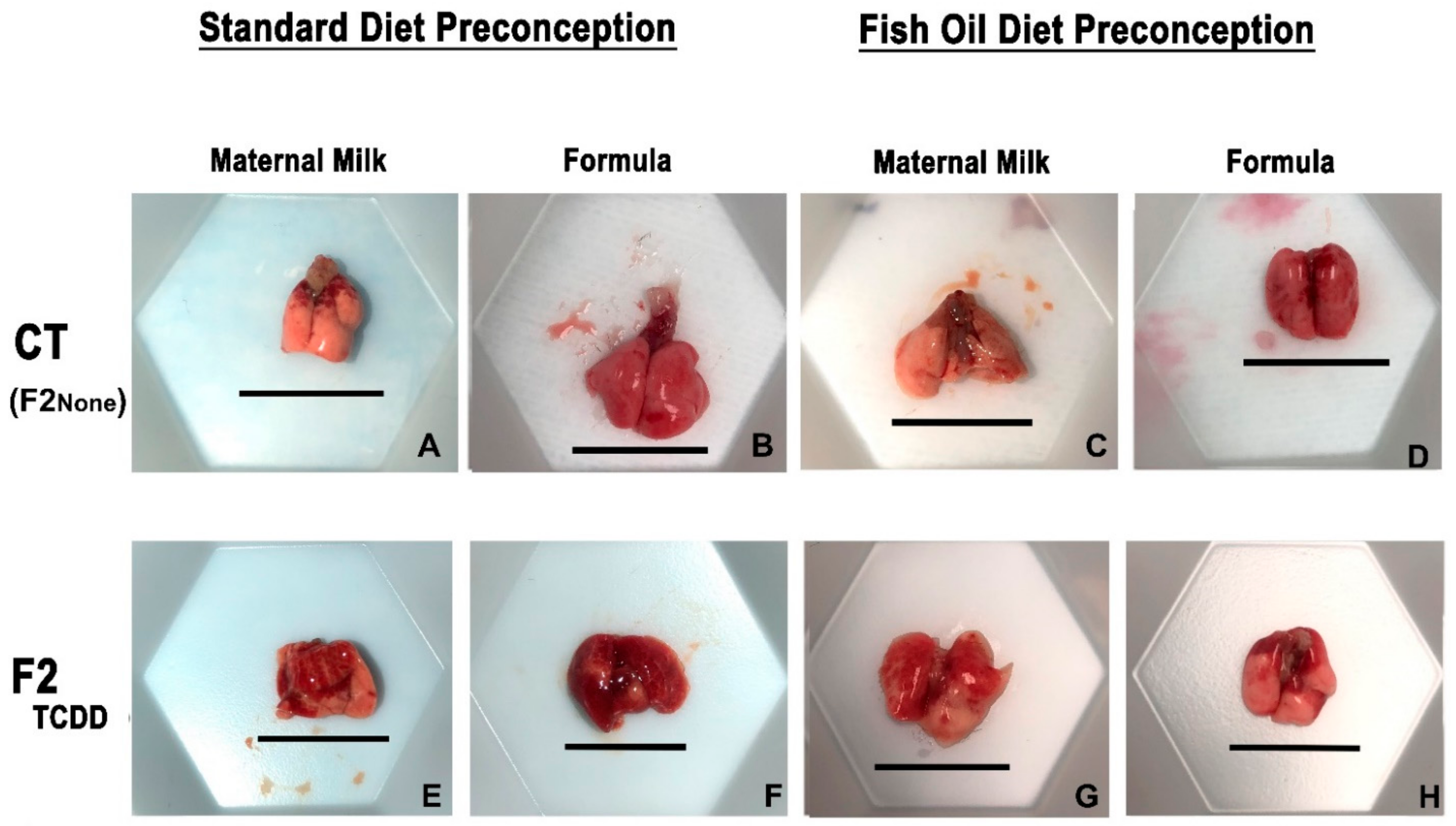 Marinedrugs 21 00161 g001