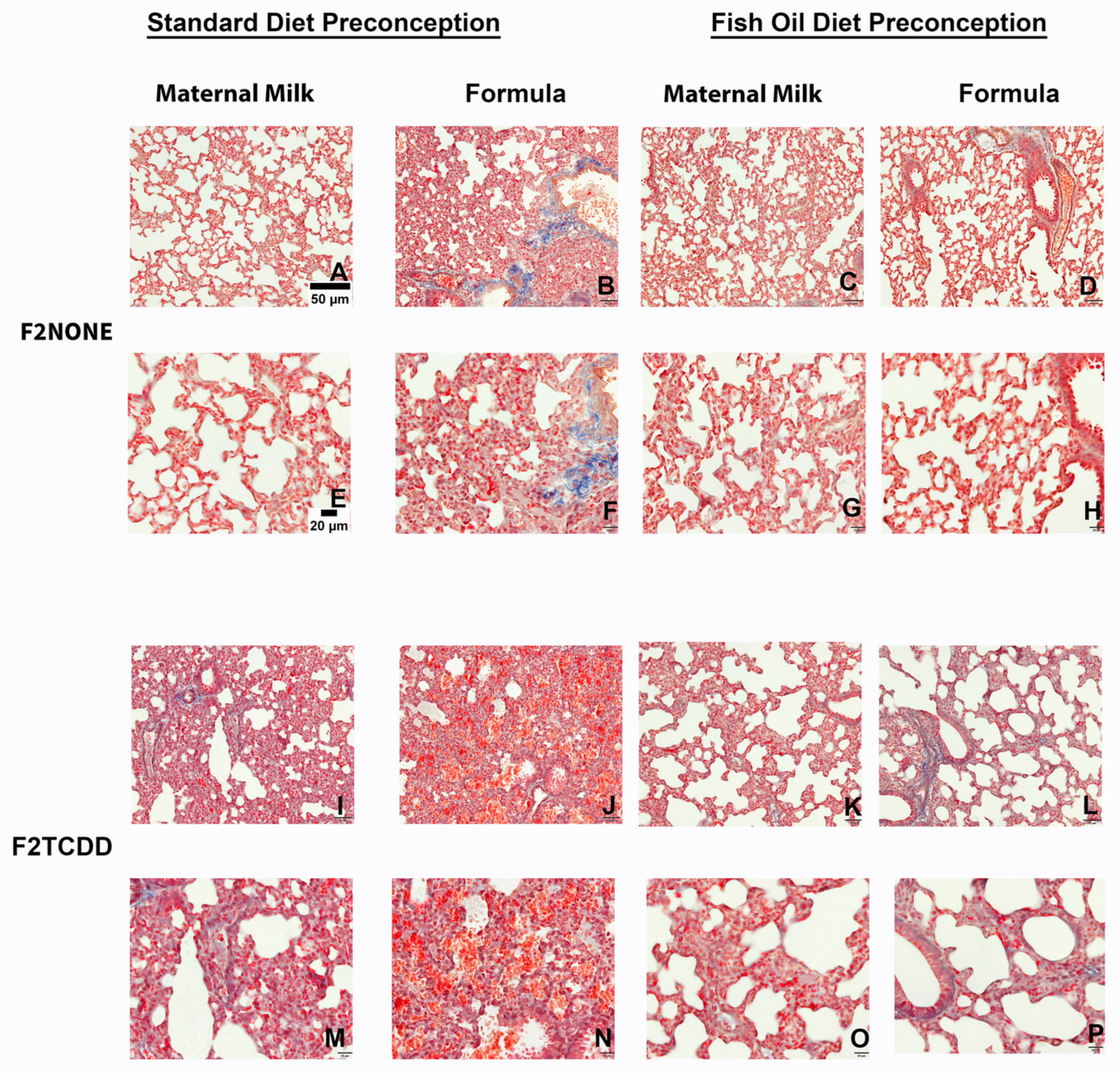 Marinedrugs 21 00161 g006