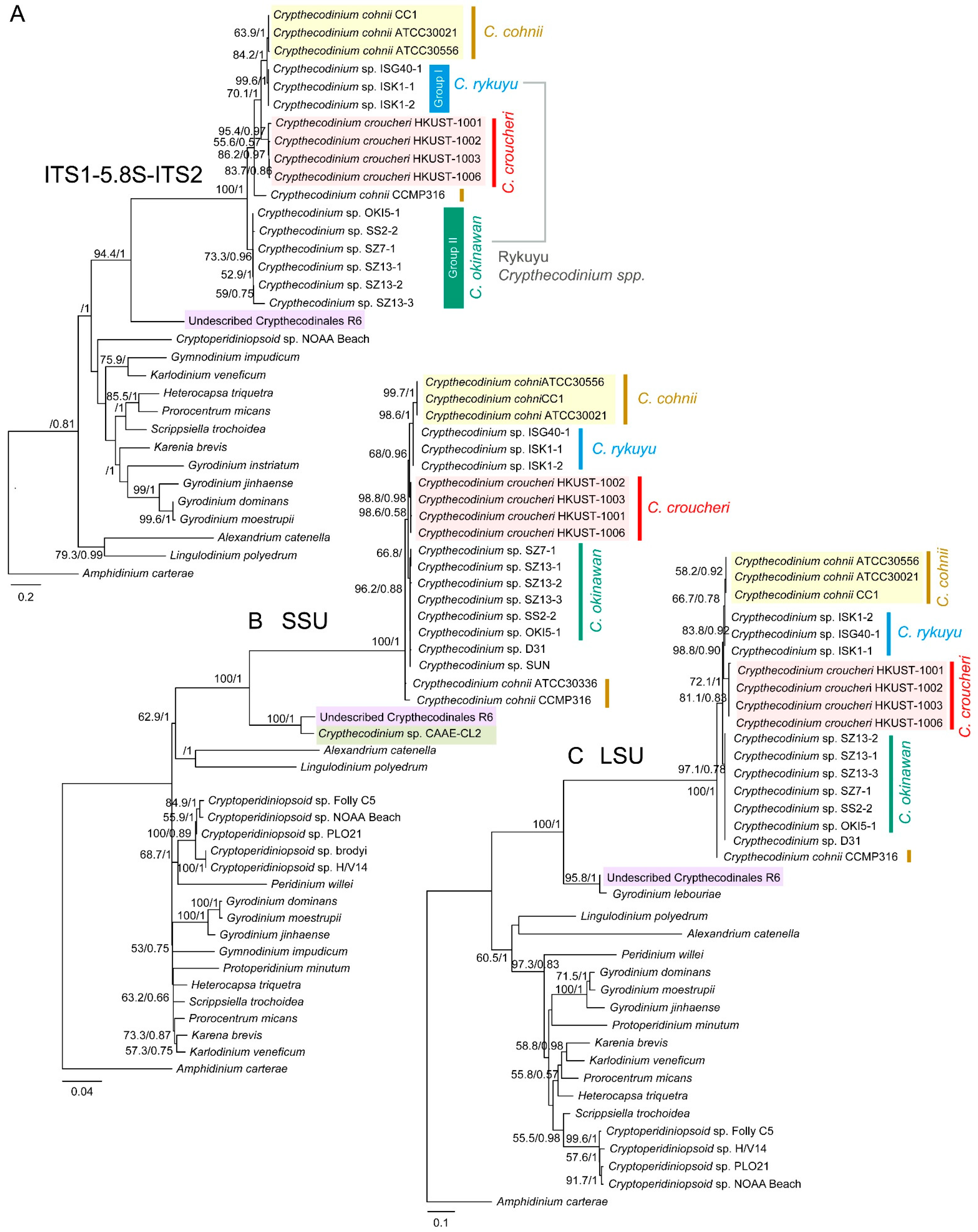 Marinedrugs 21 00162 g003