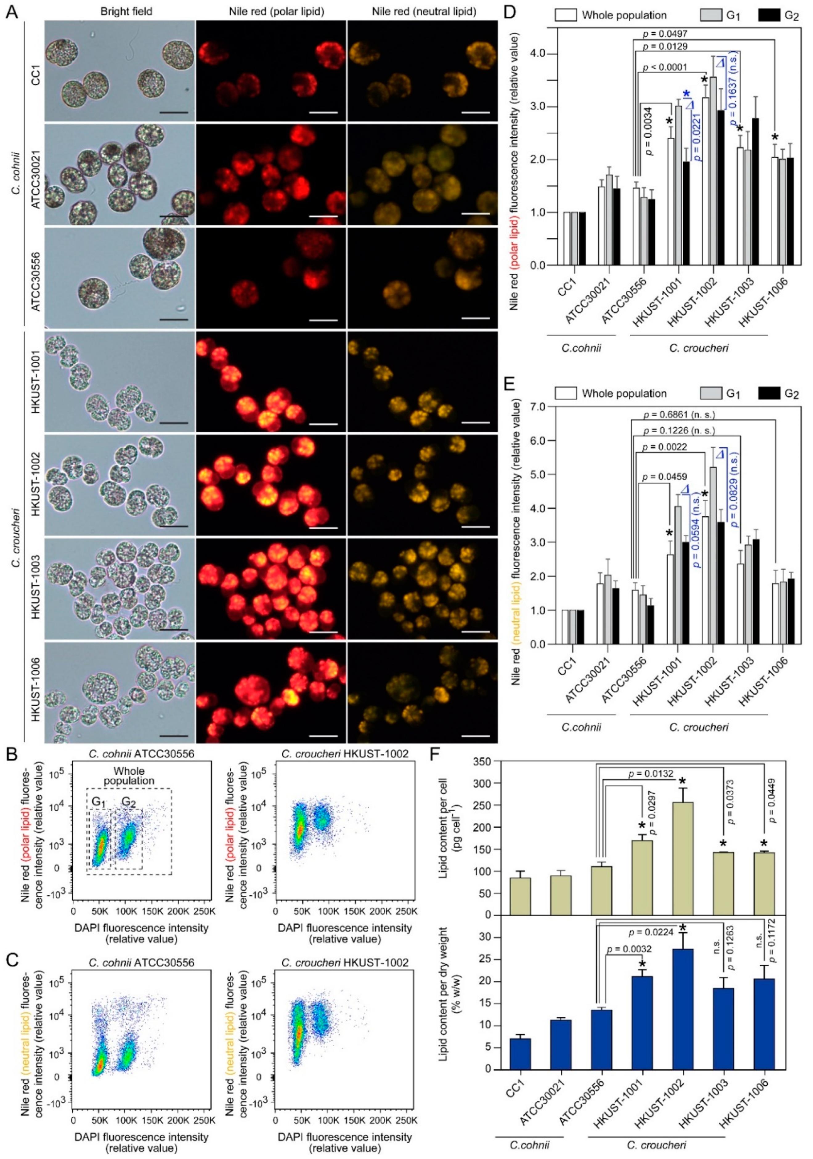Marinedrugs 21 00162 g006