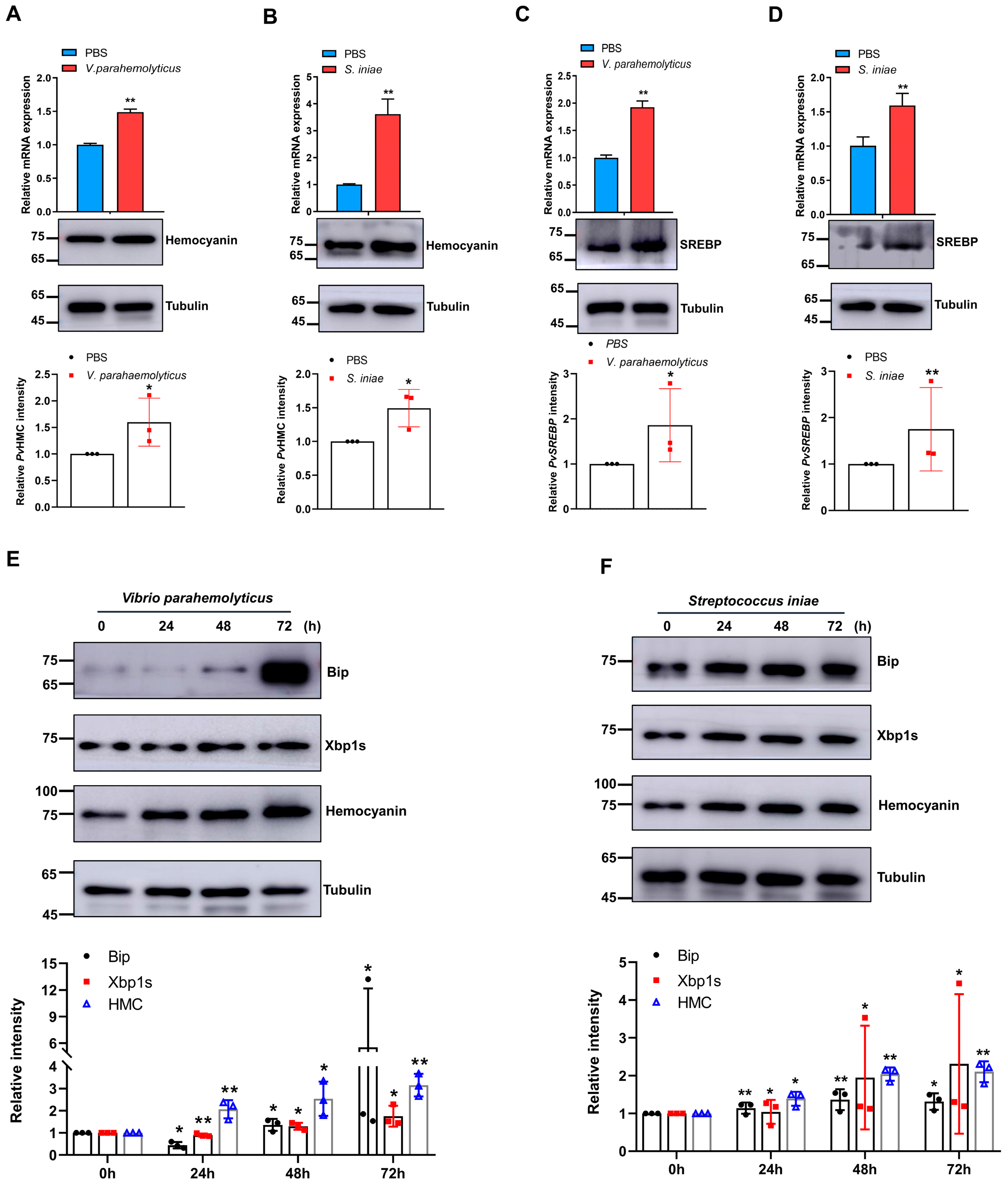 Marinedrugs 21 00164 g001