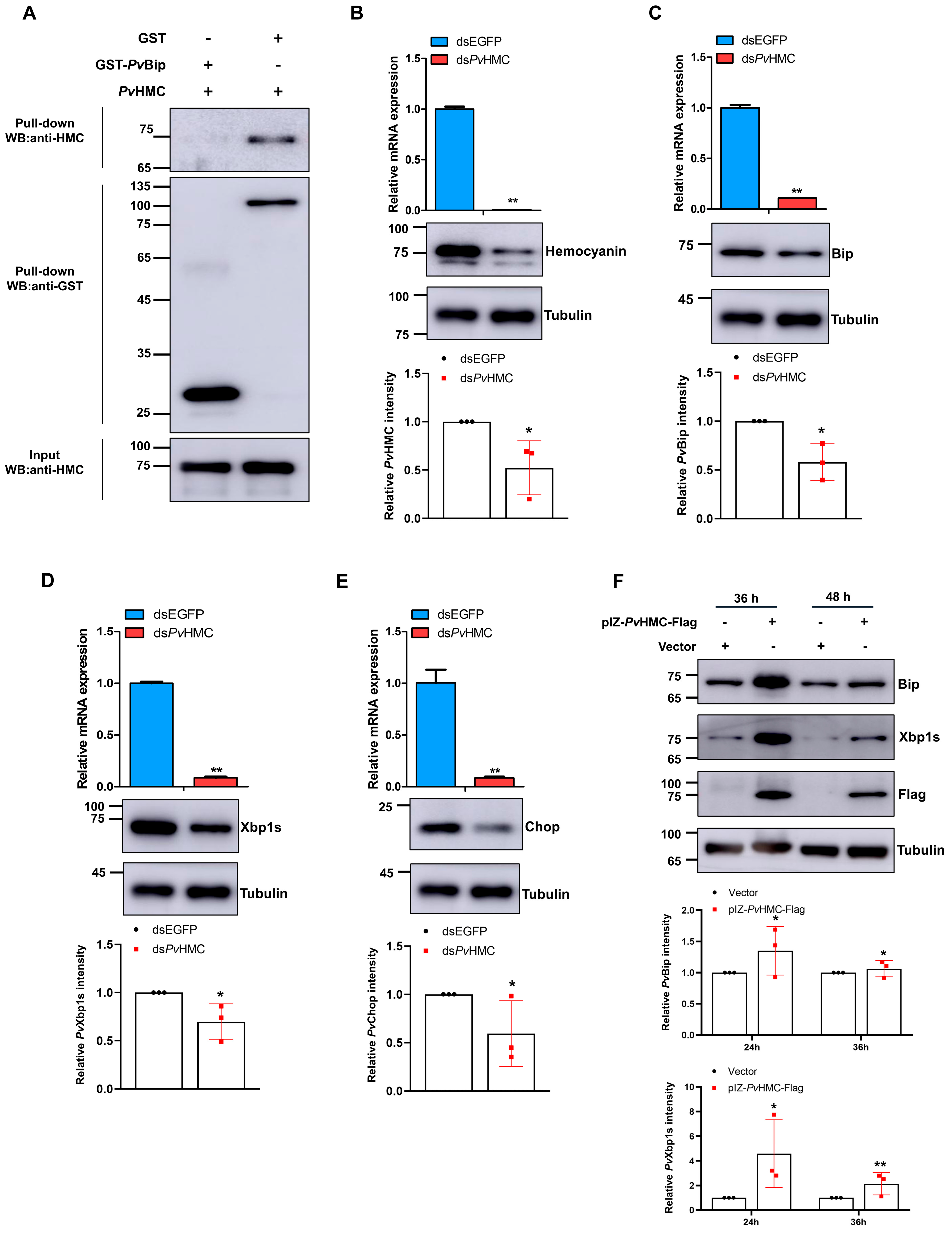 Marinedrugs 21 00164 g002