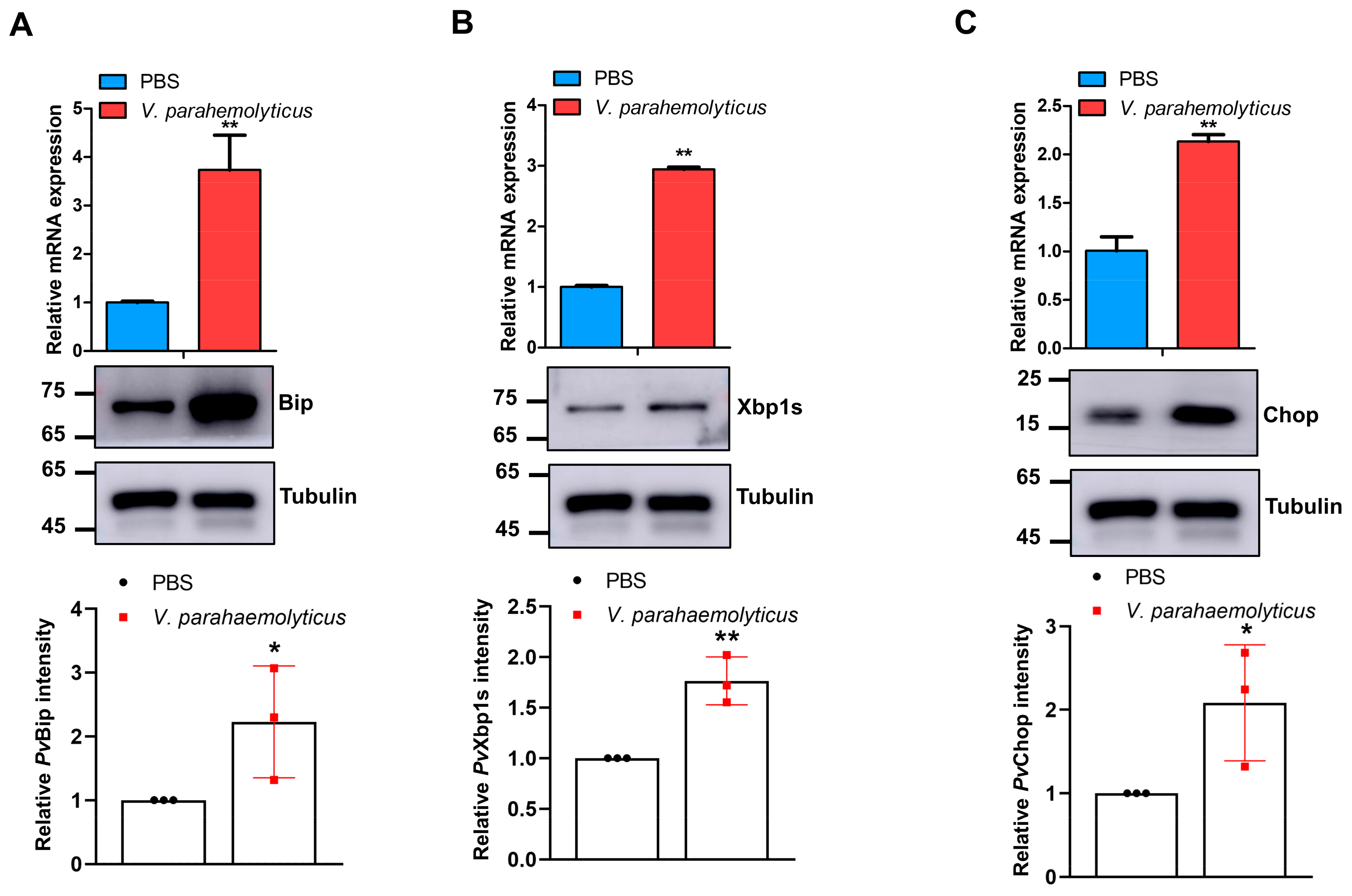 Marinedrugs 21 00164 g003