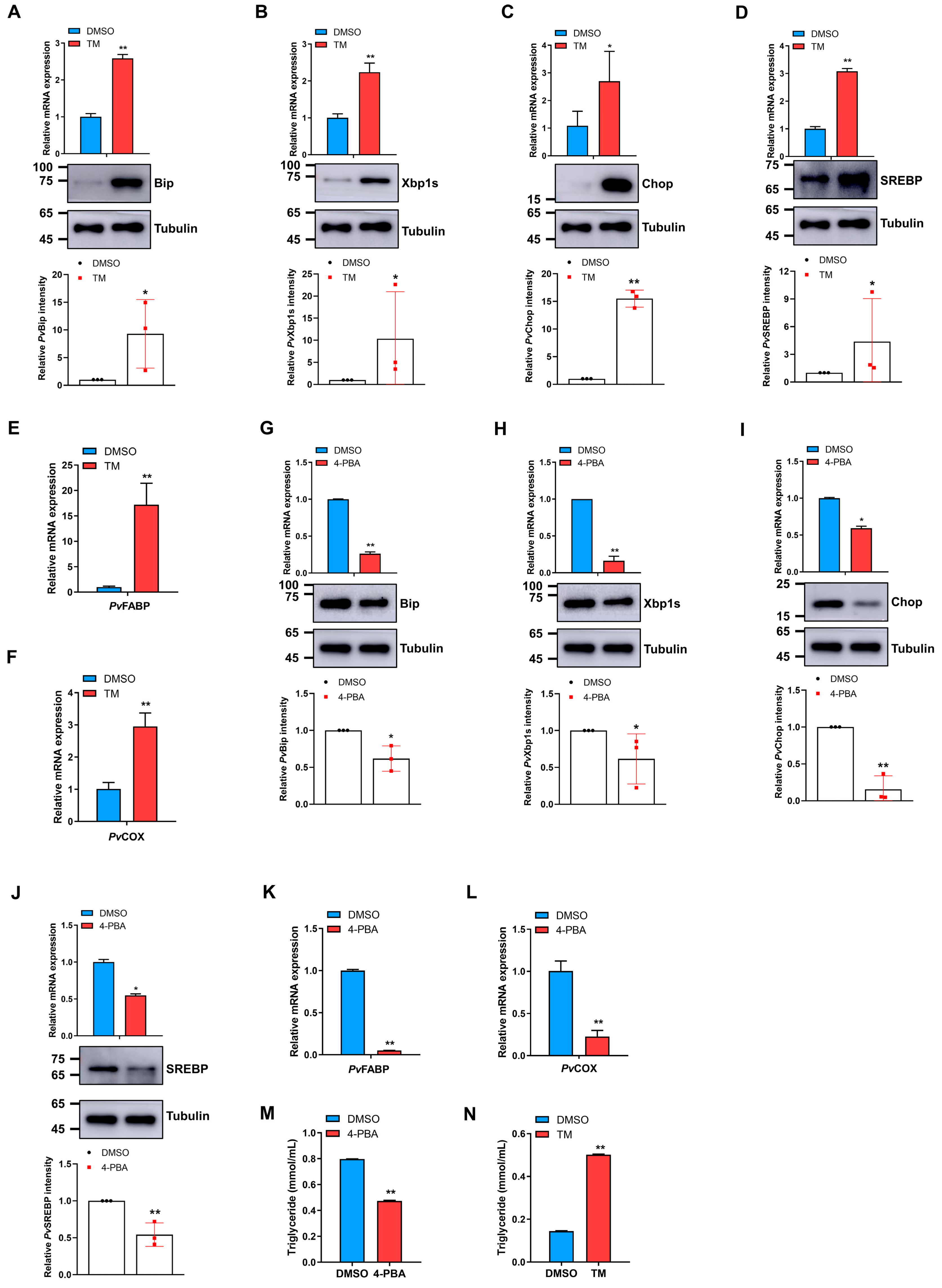 Marinedrugs 21 00164 g004