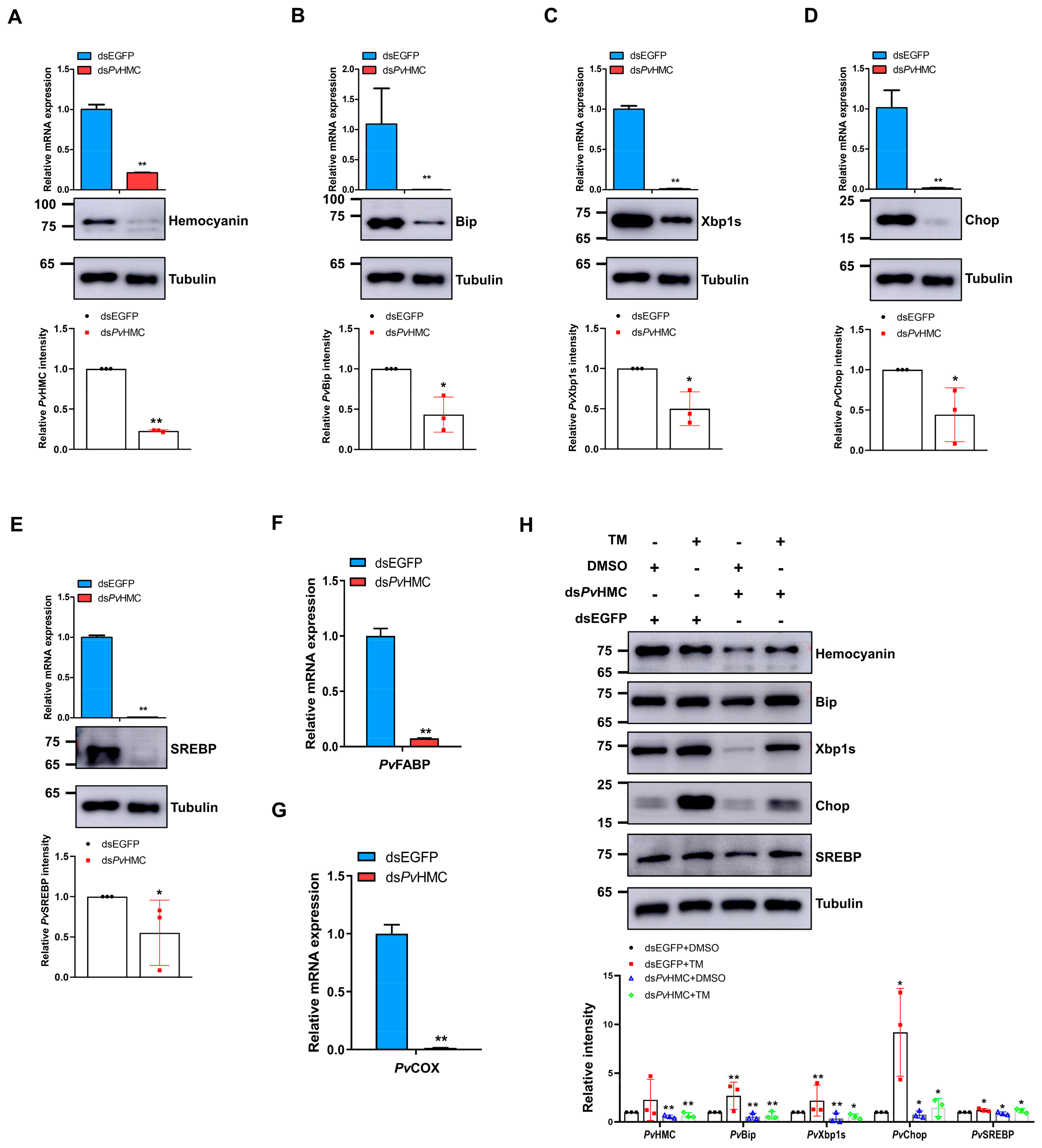 Marinedrugs 21 00164 g005