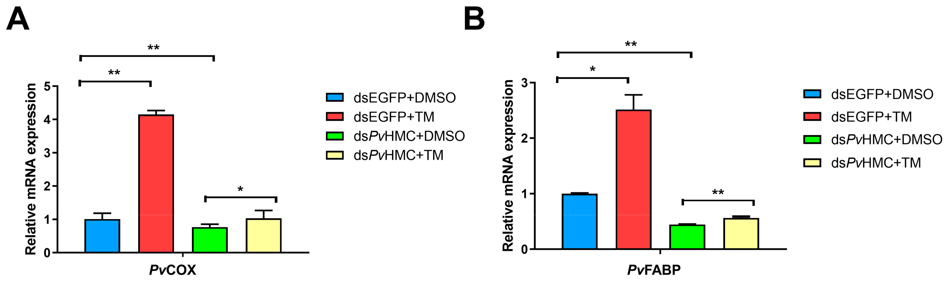 Marinedrugs 21 00164 g006