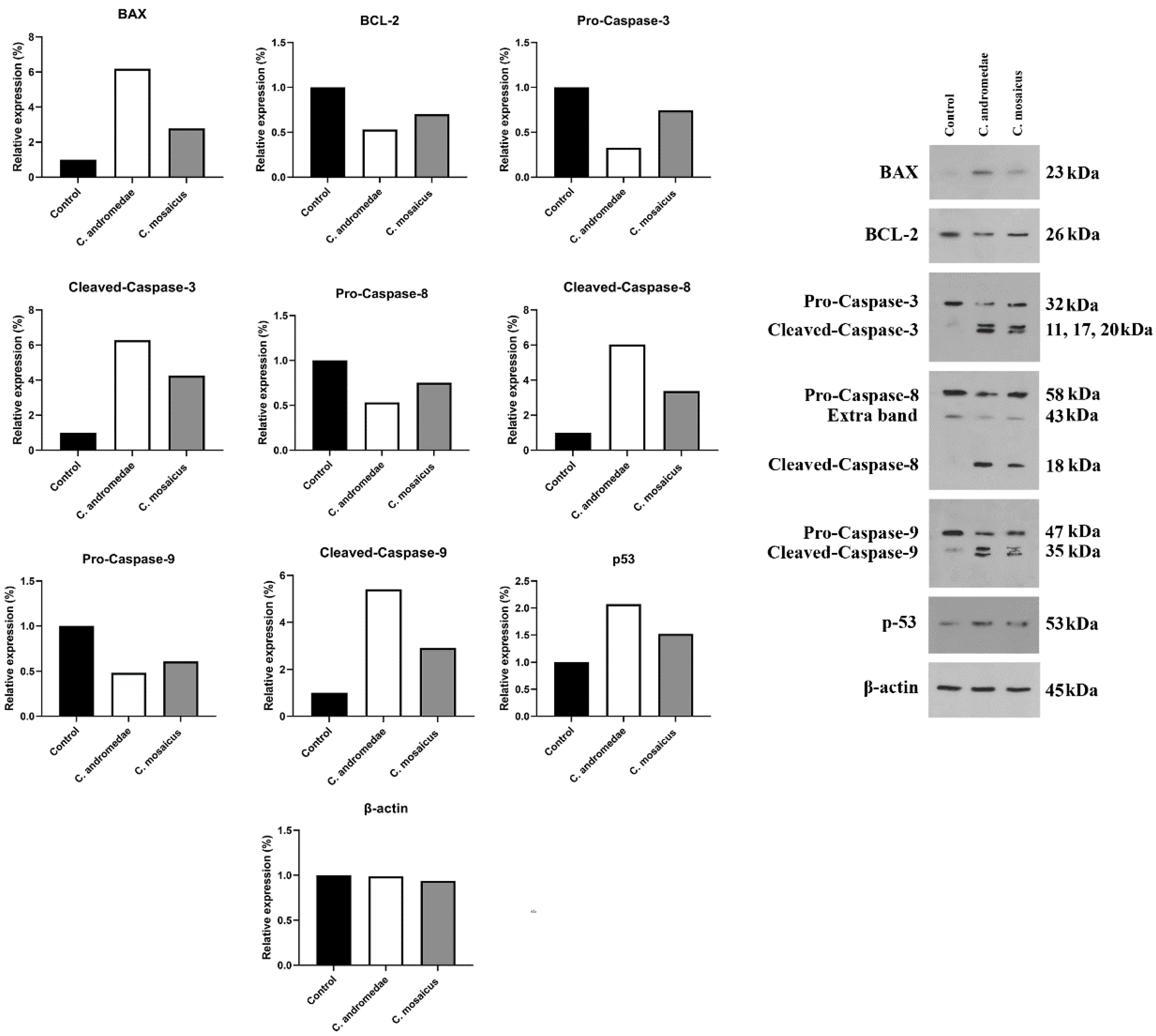 Marinedrugs 21 00168 g004