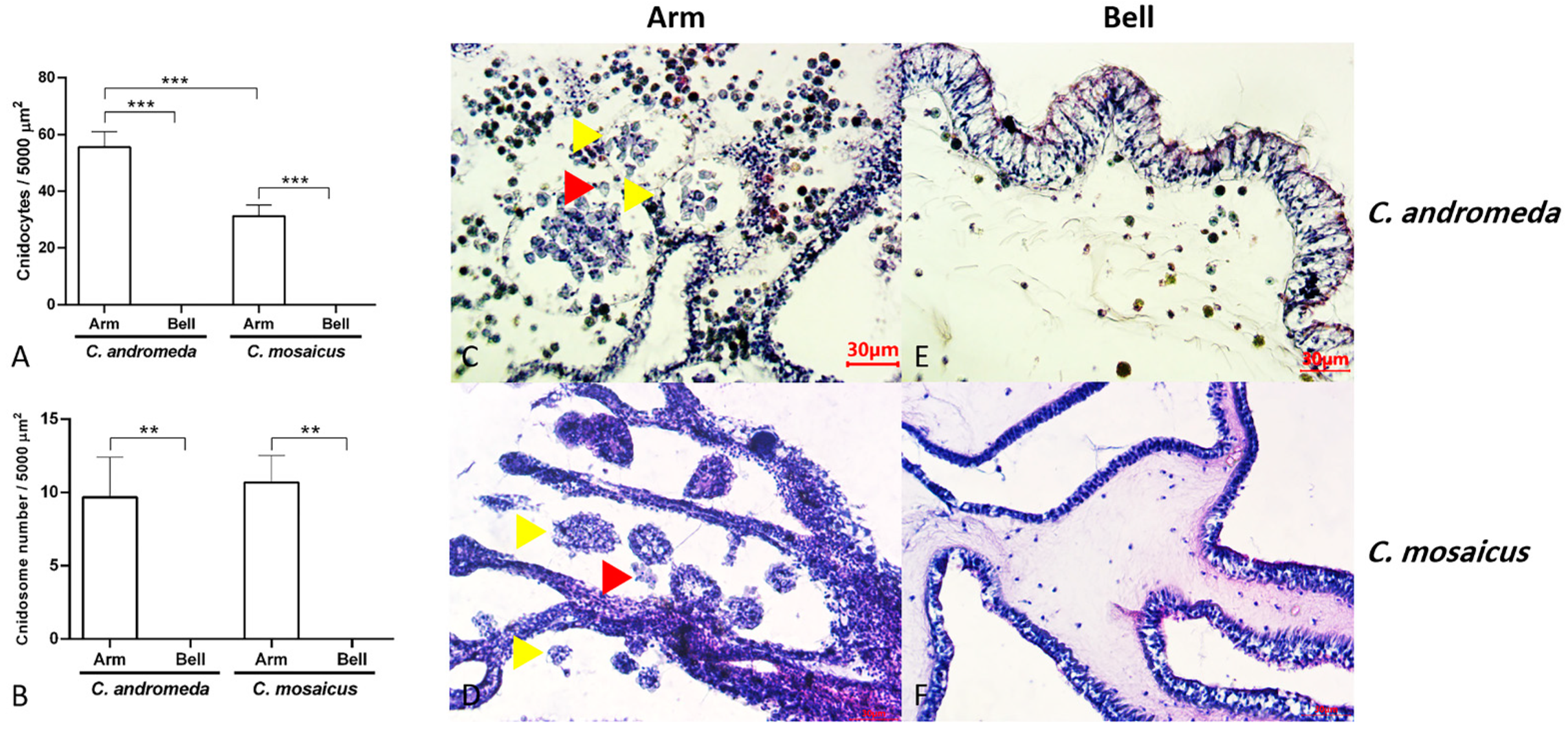 Marinedrugs 21 00168 g005