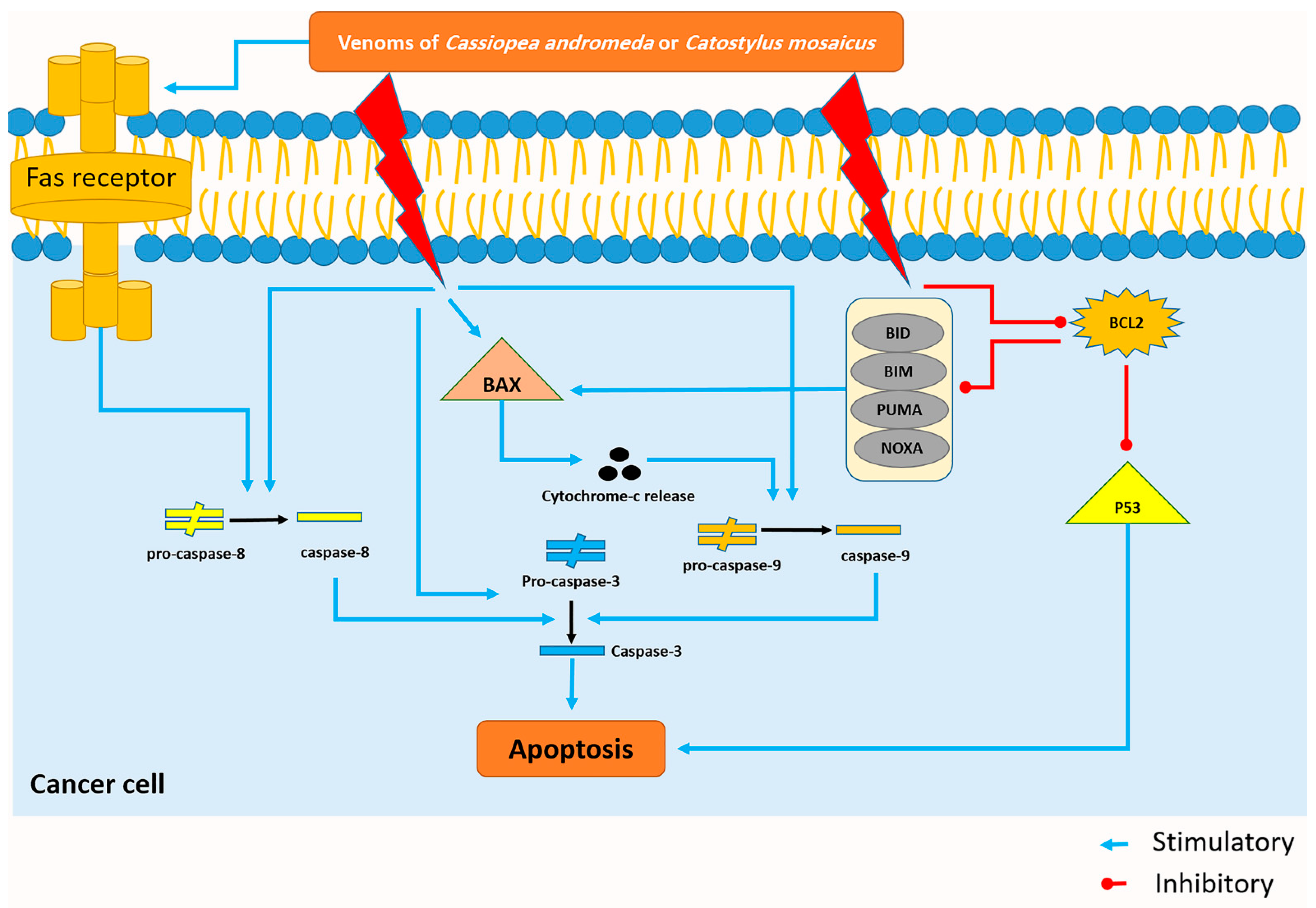 Marinedrugs 21 00168 g007