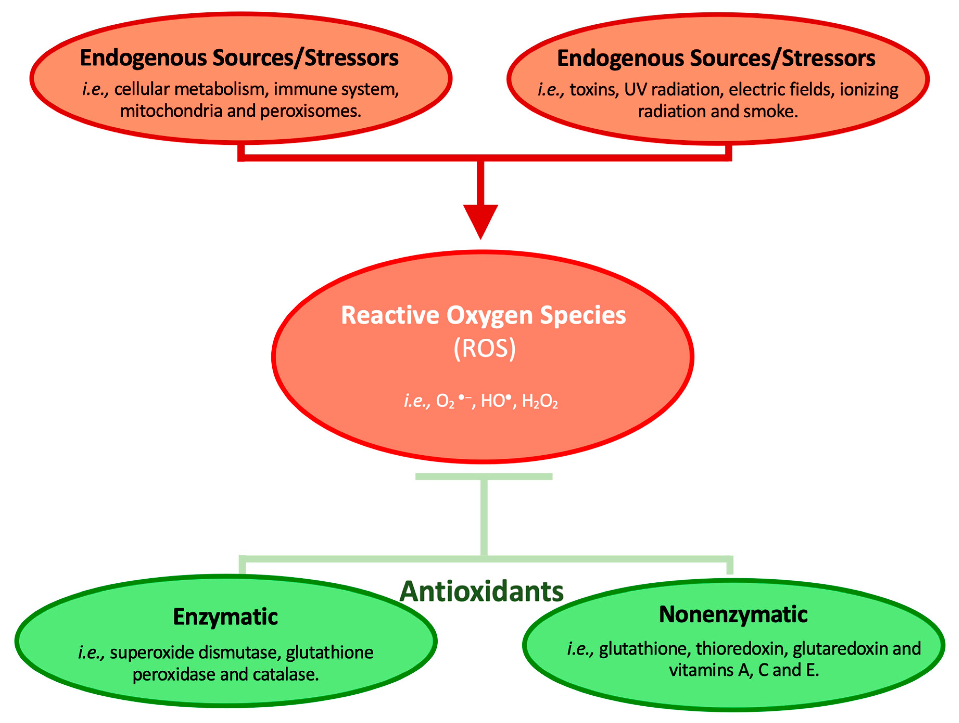 Marinedrugs 21 00170 g001