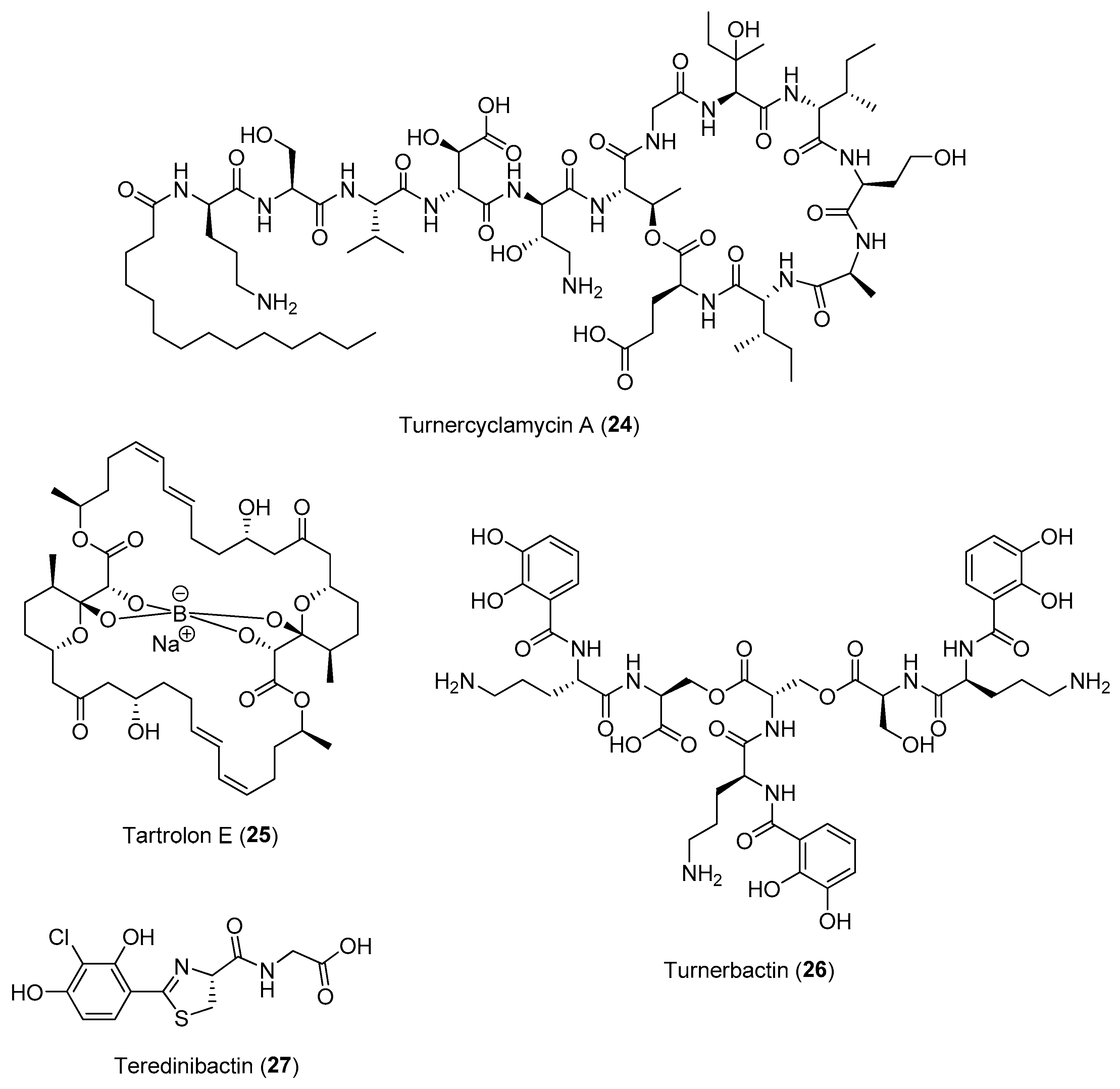 Marinedrugs 21 00174 g004