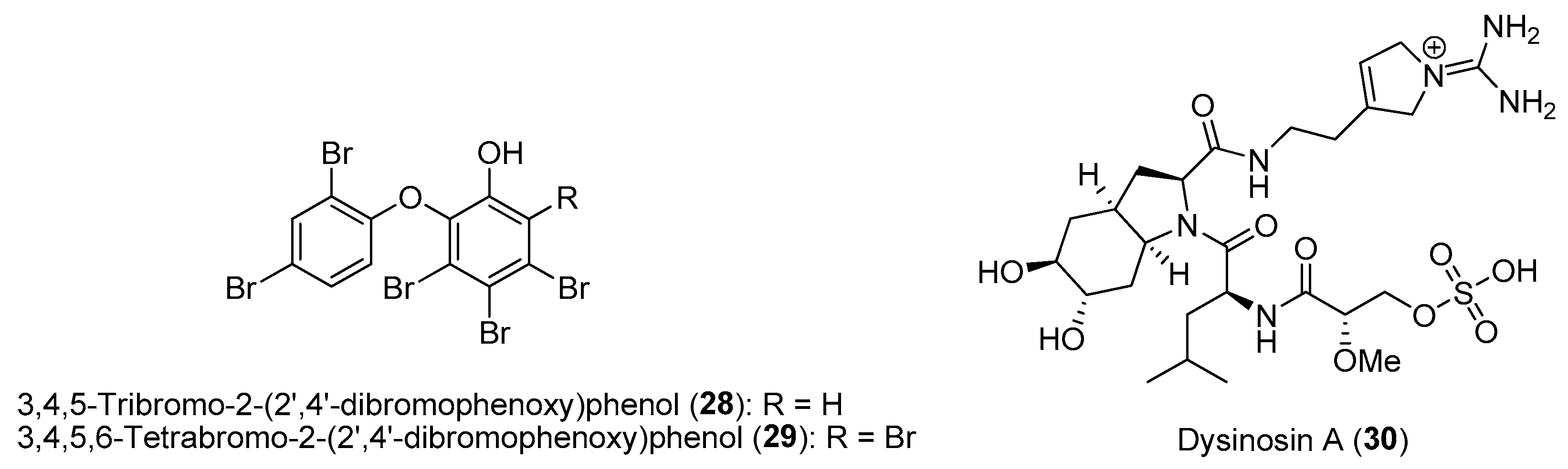 Marinedrugs 21 00174 g005