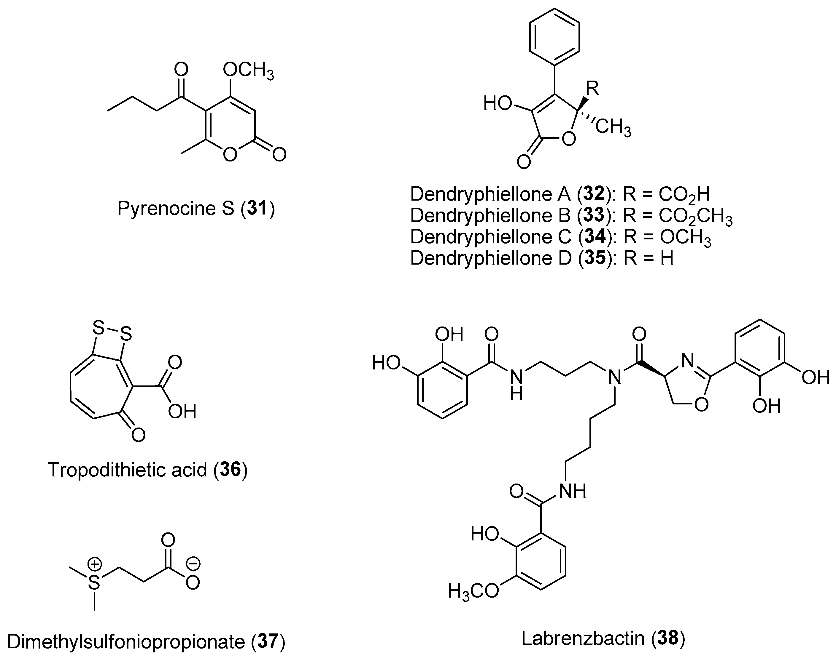 Marinedrugs 21 00174 g006