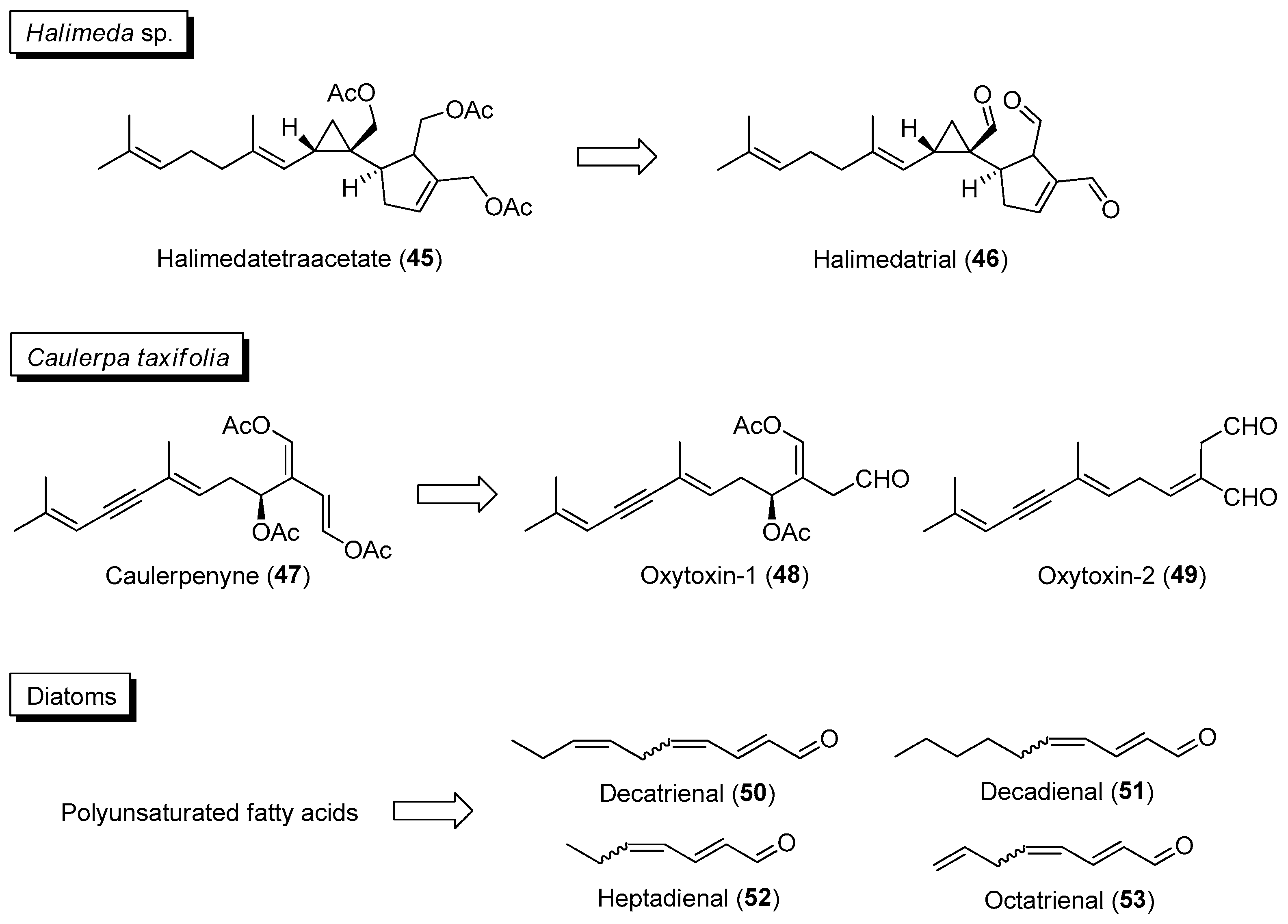 Marinedrugs 21 00174 g008