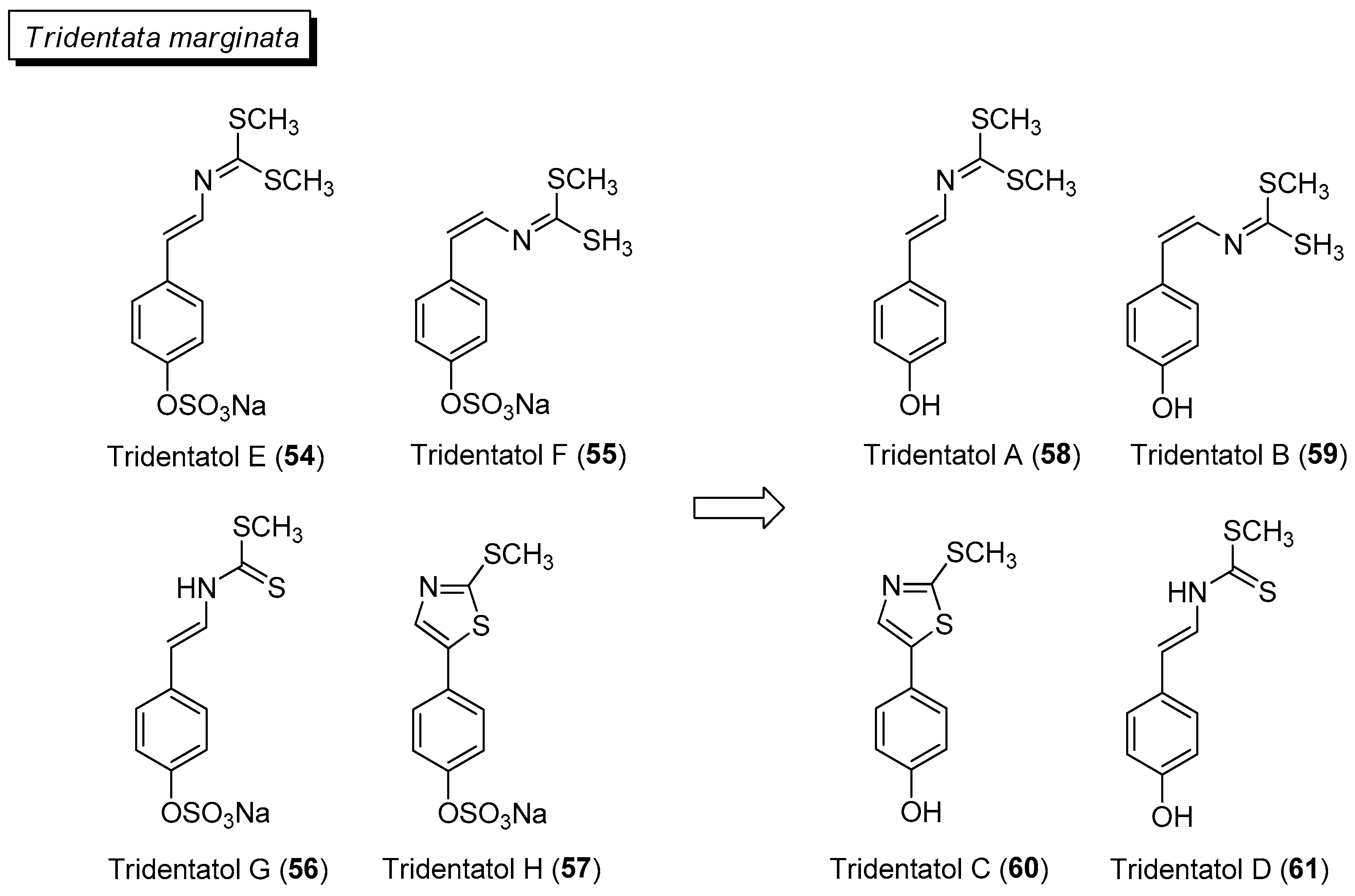 Marinedrugs 21 00174 g009