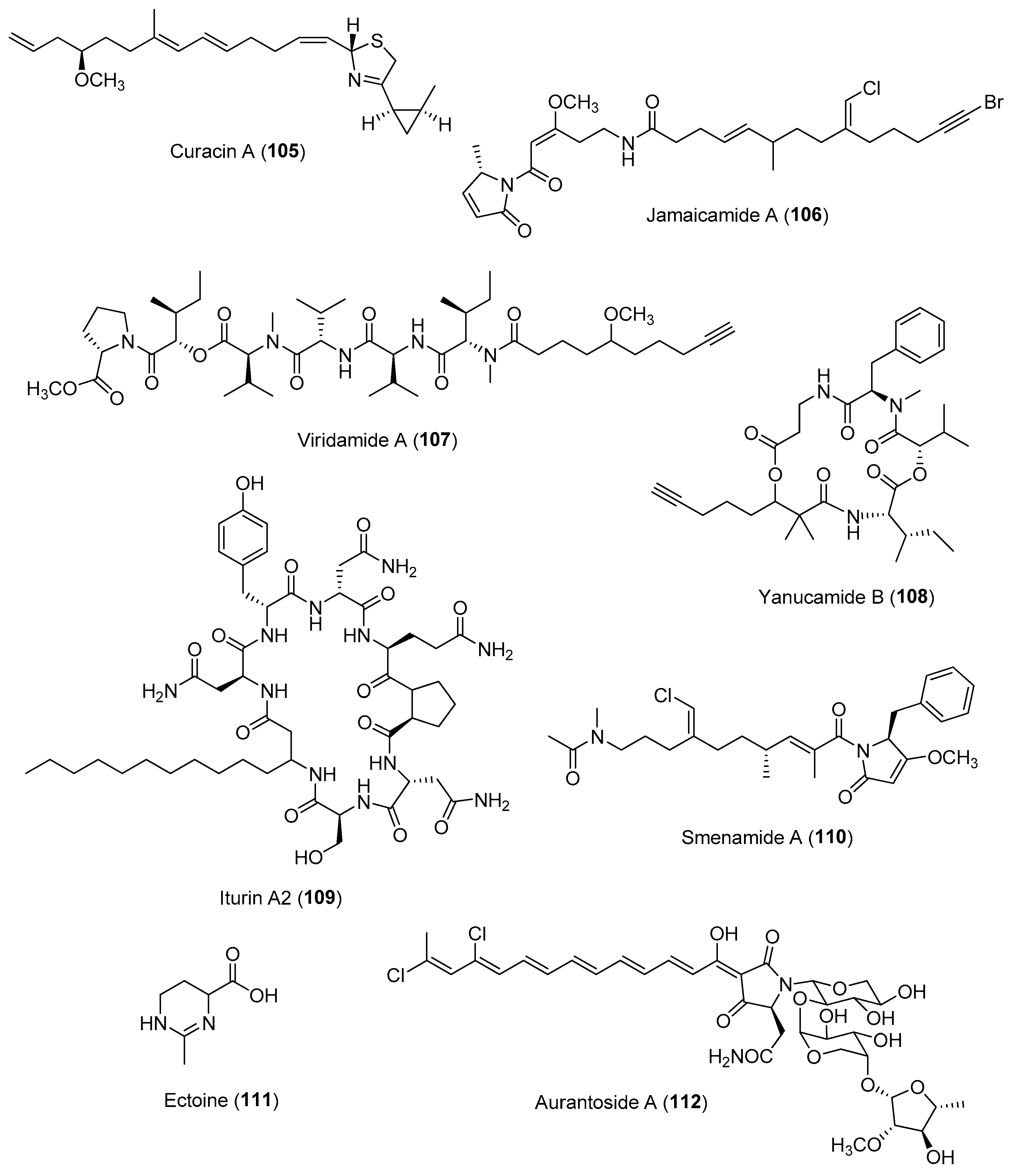 Marinedrugs 21 00174 g016