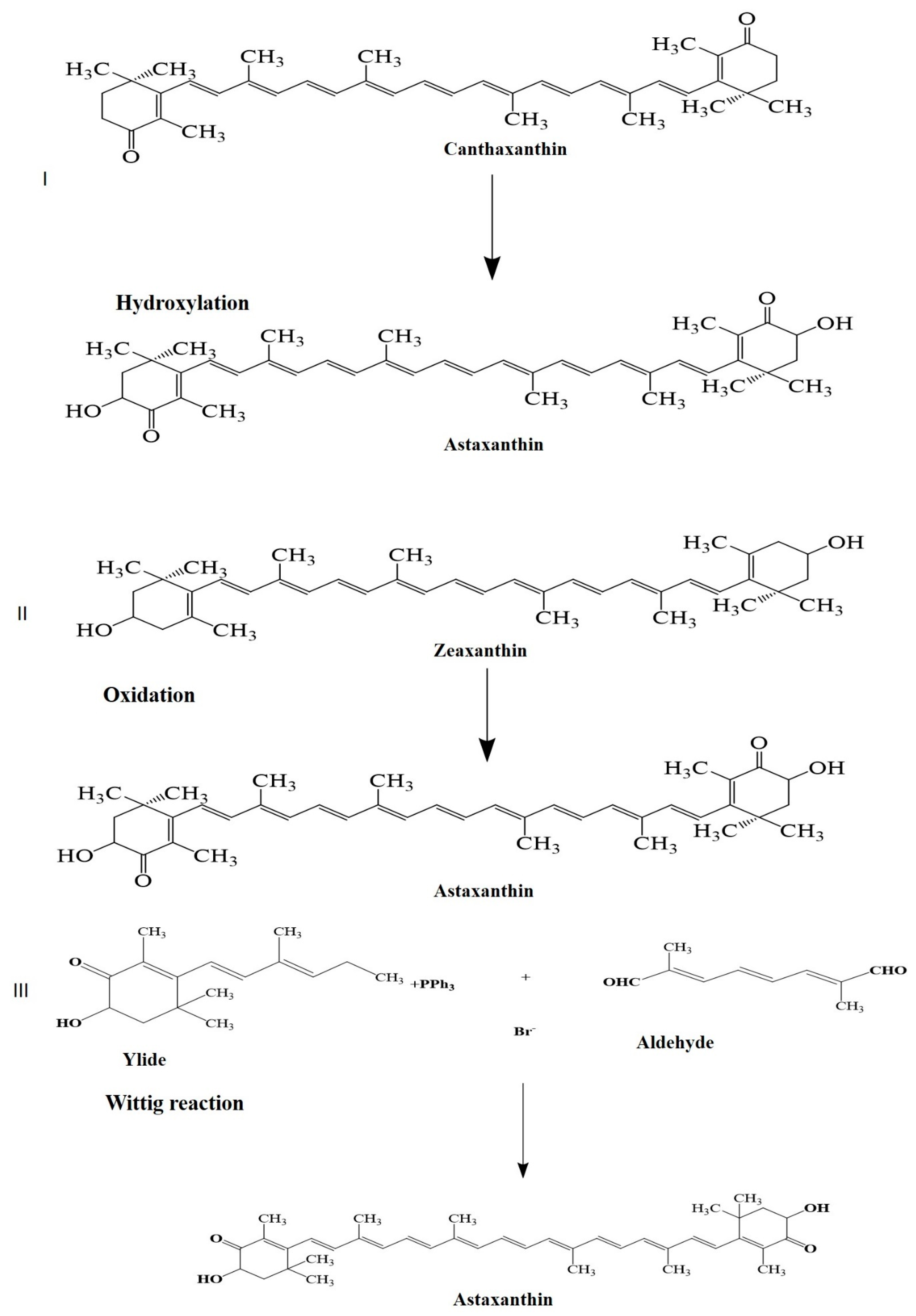 Marinedrugs 21 00176 g003