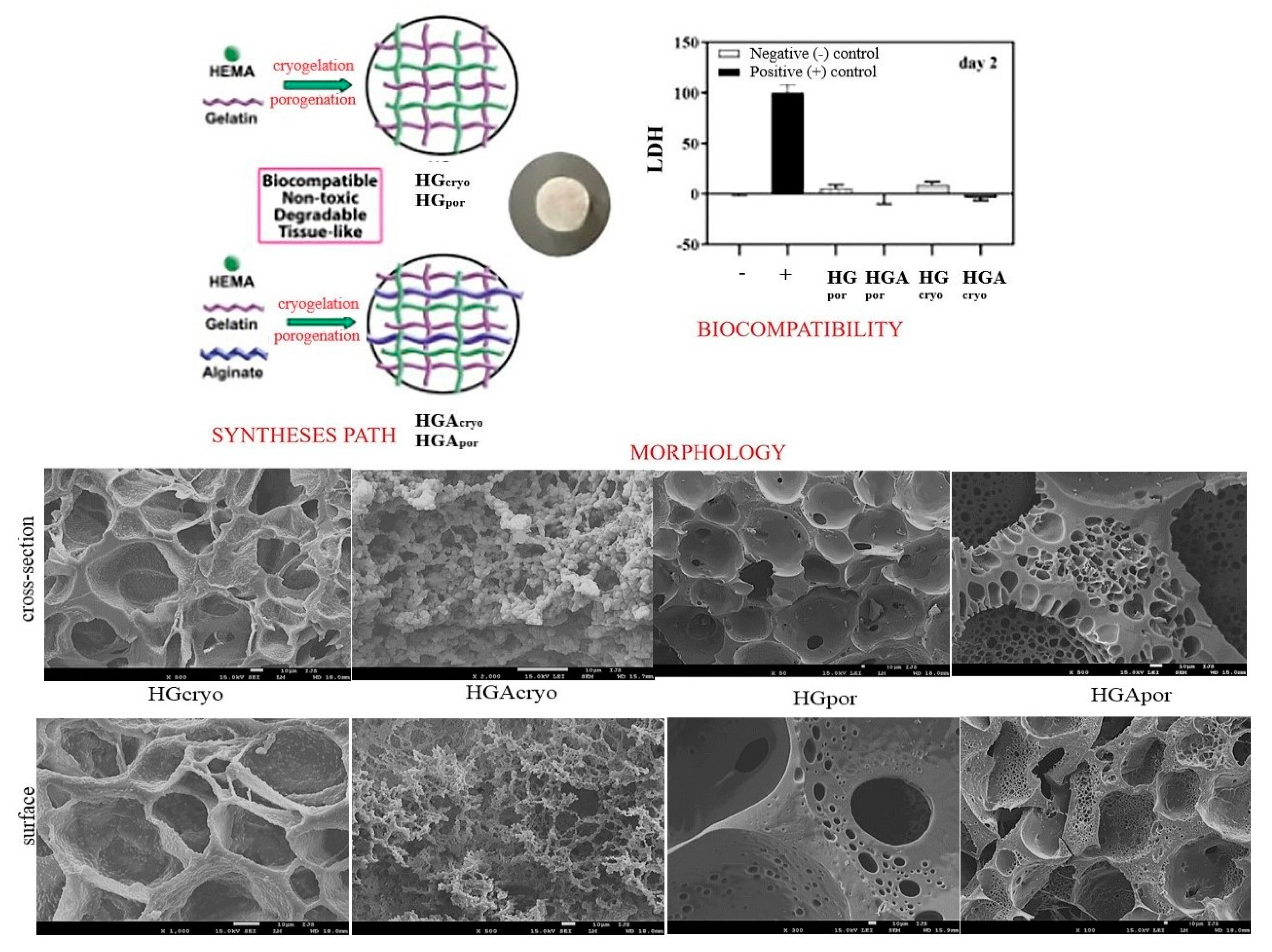 Marinedrugs 21 00177 sch004