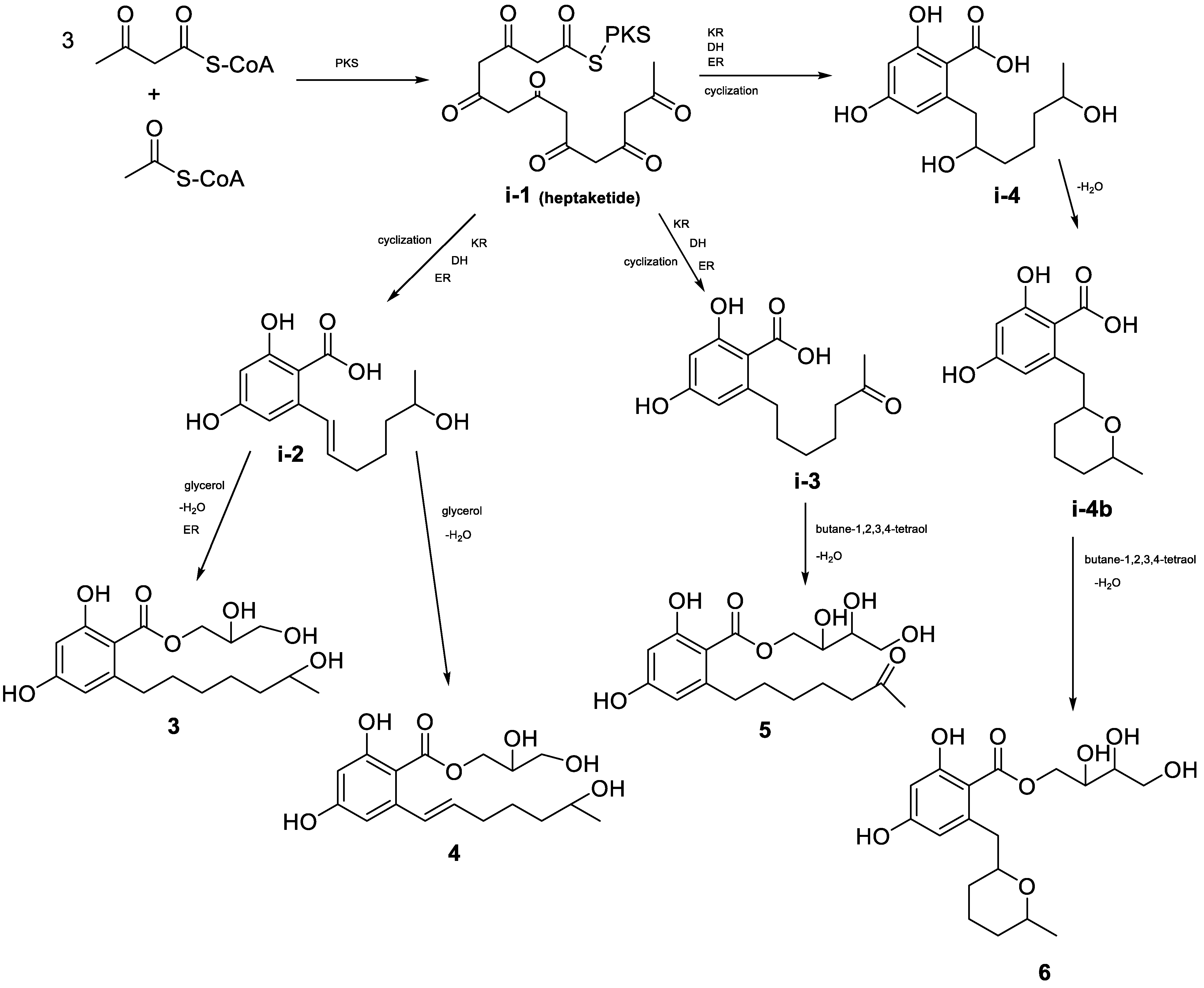 Marinedrugs 21 00178 g006