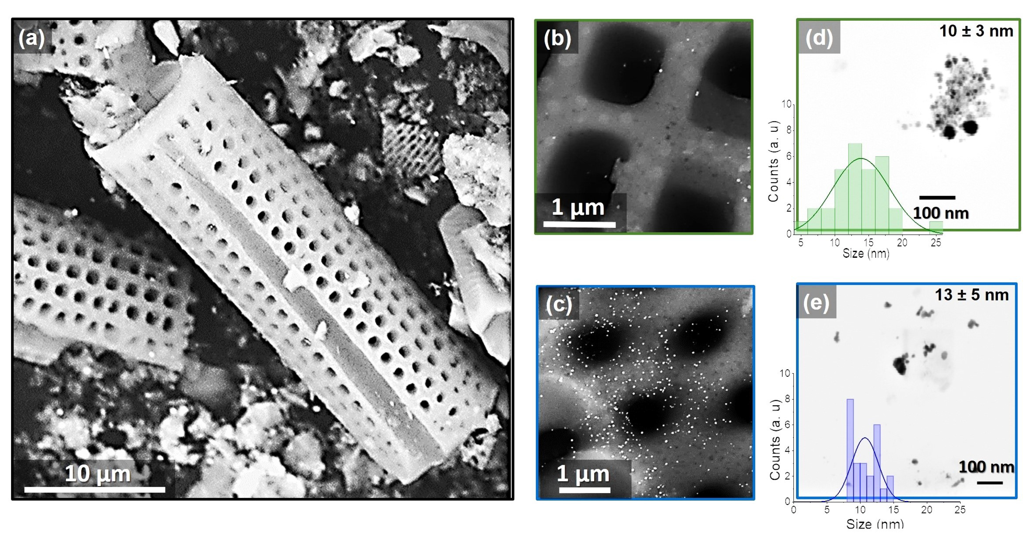 Marinedrugs 21 00185 g003