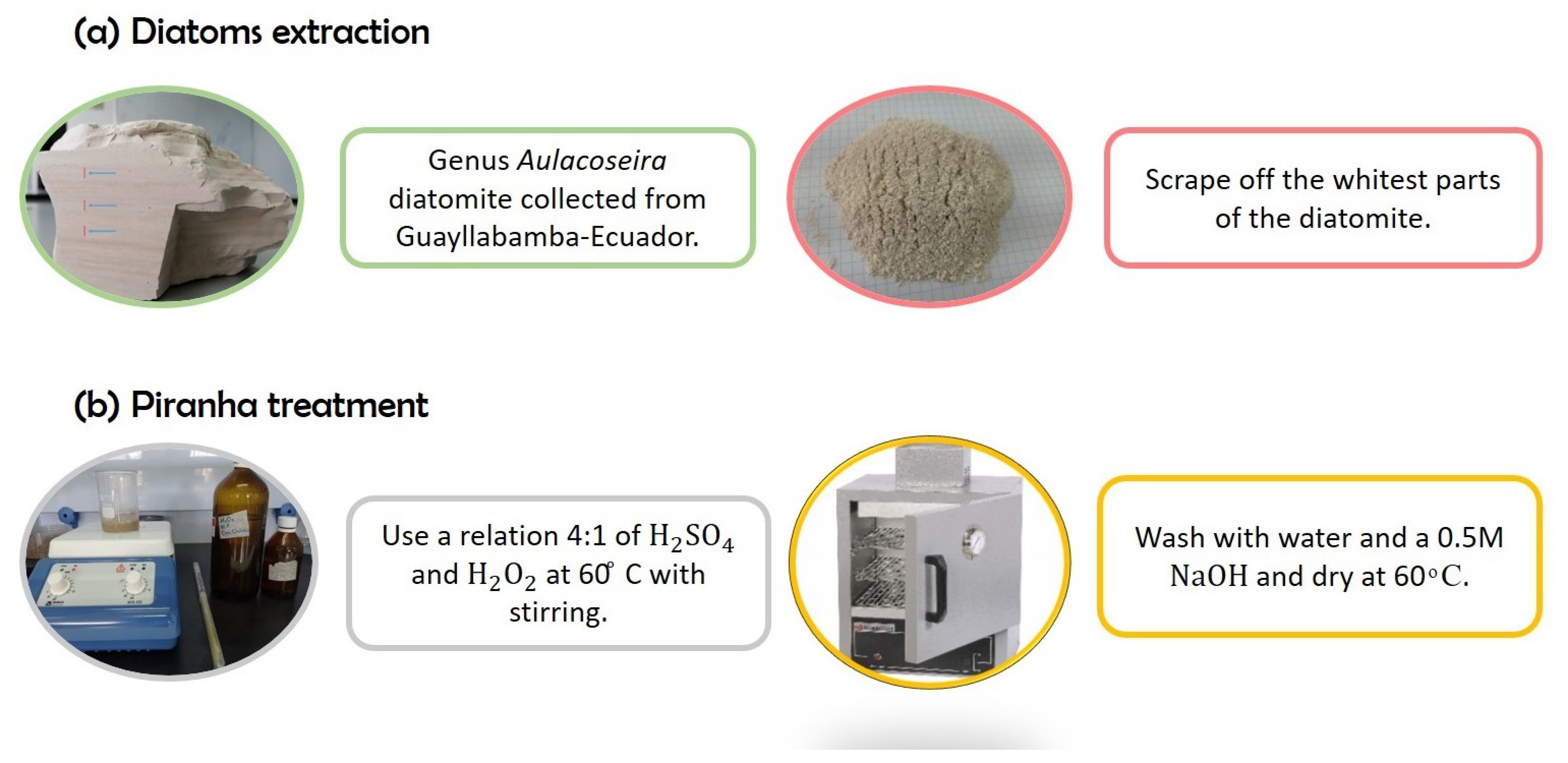 Marinedrugs 21 00185 g007