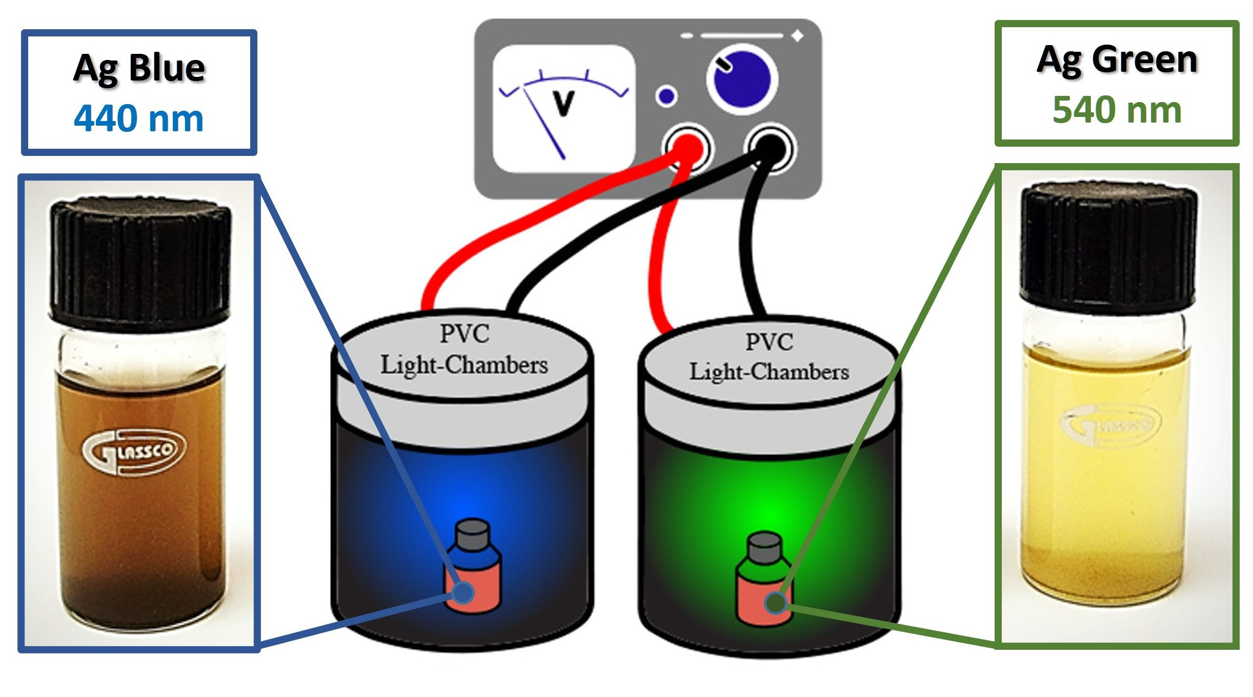 Marinedrugs 21 00185 g008