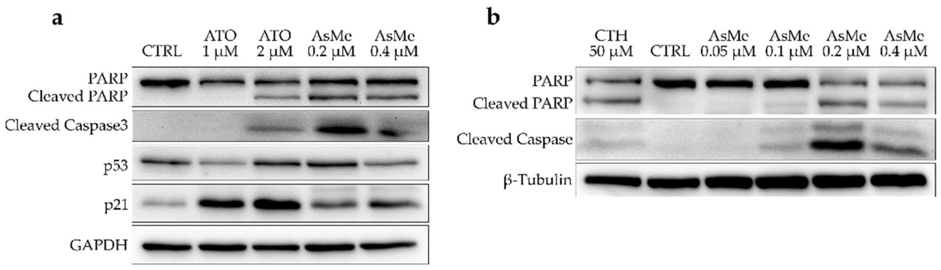 Marinedrugs 21 00186 g005