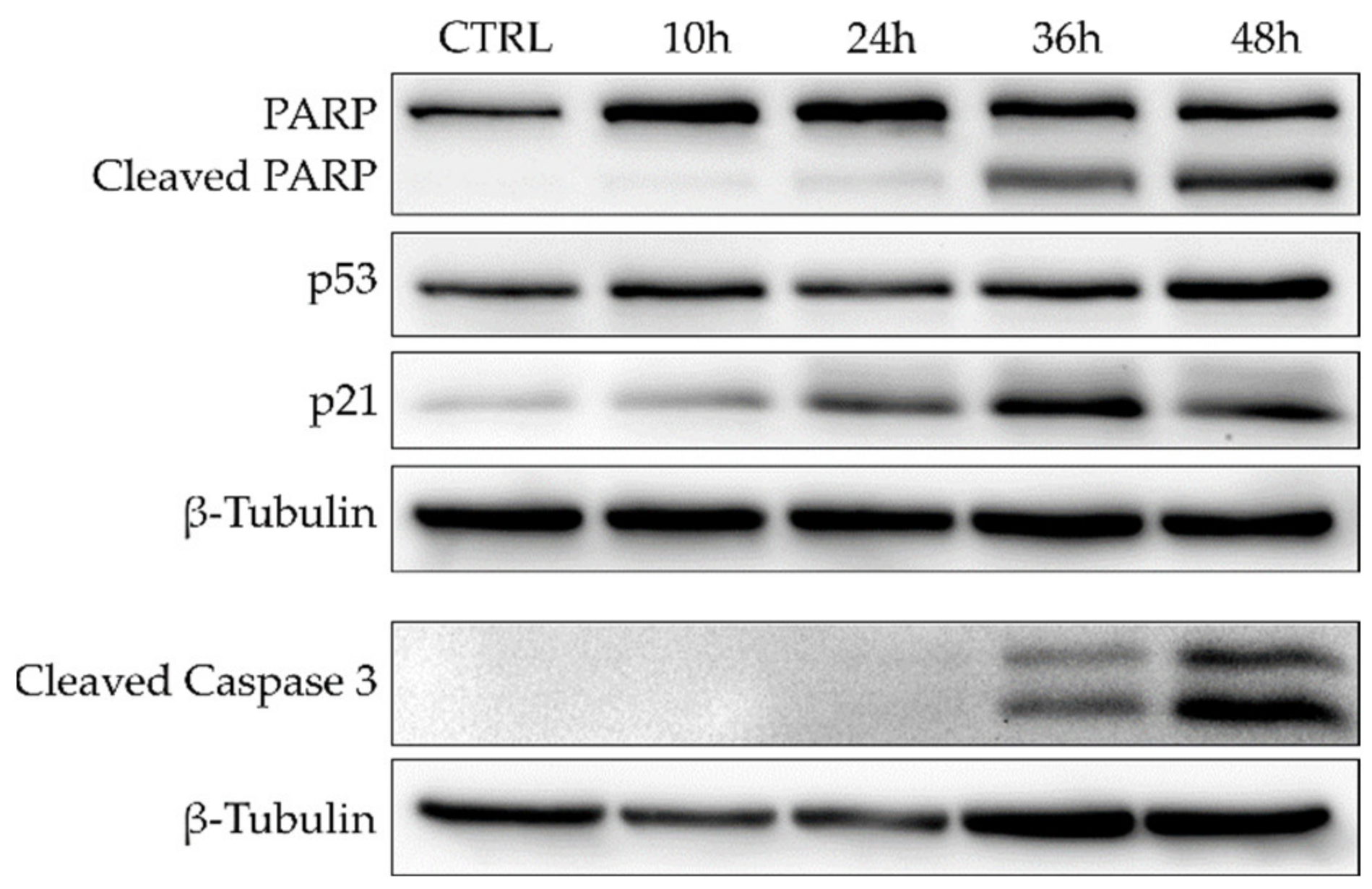 Marinedrugs 21 00186 g006