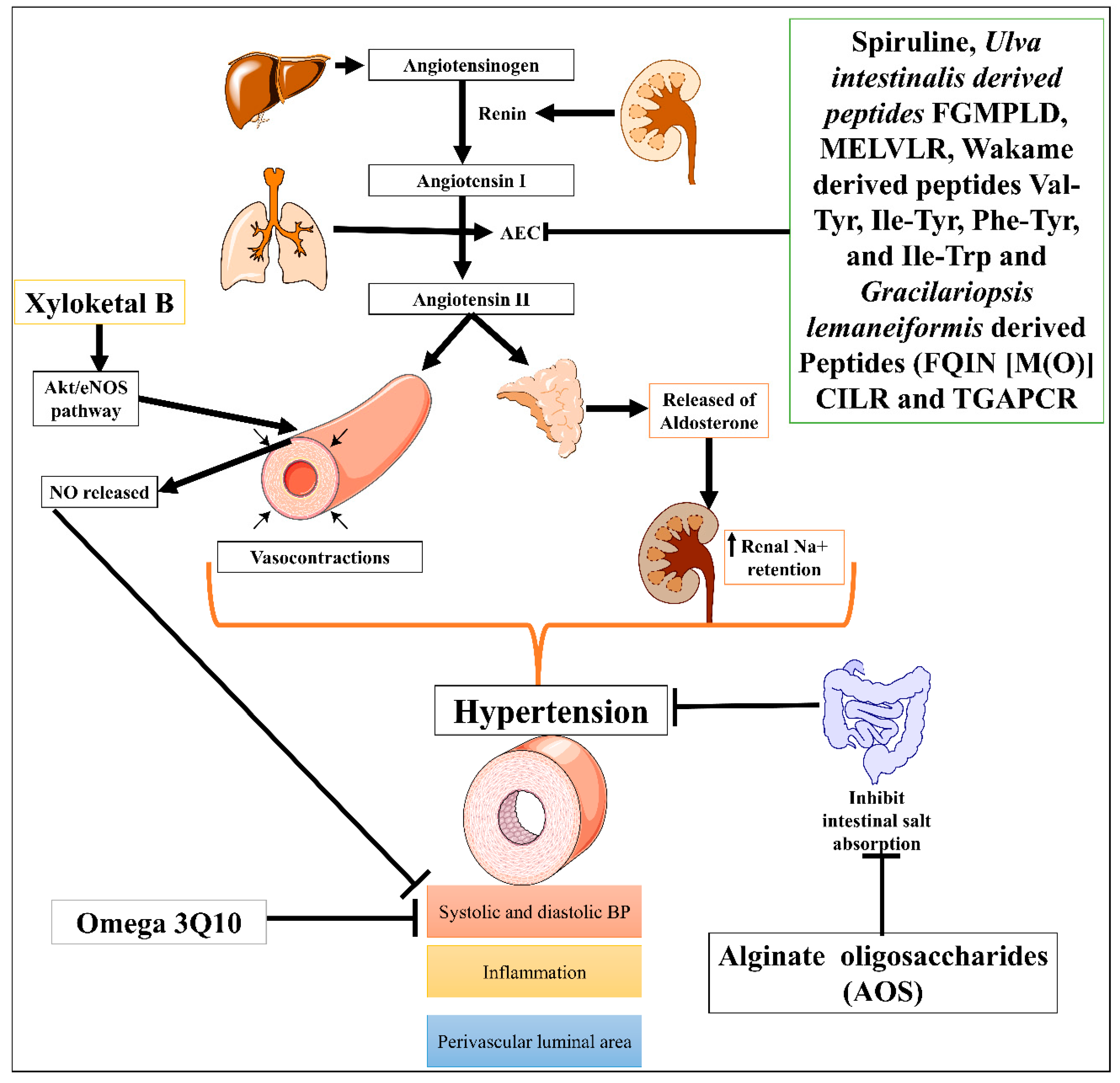 Marinedrugs 21 00193 g002