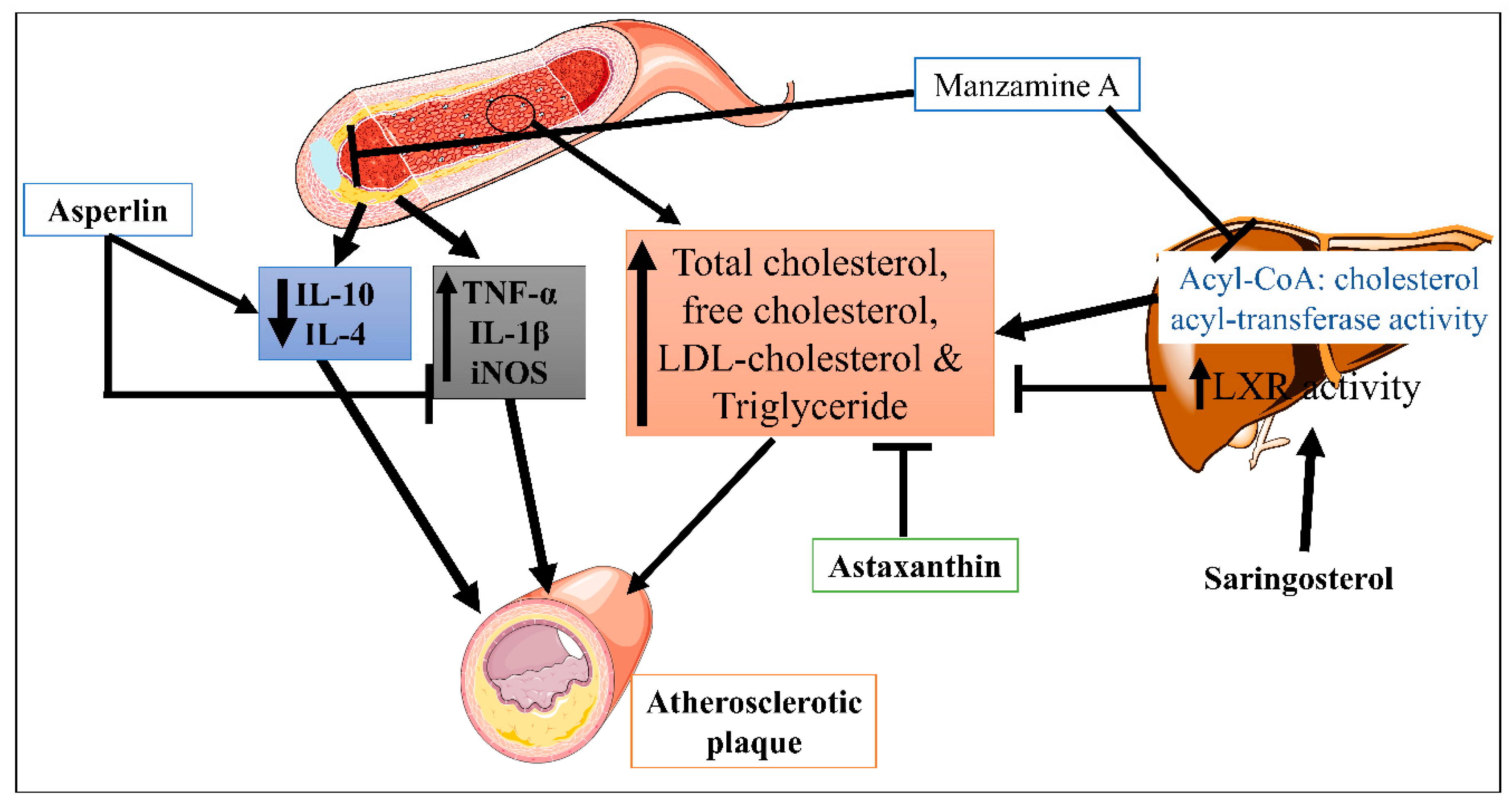 Marinedrugs 21 00193 g003