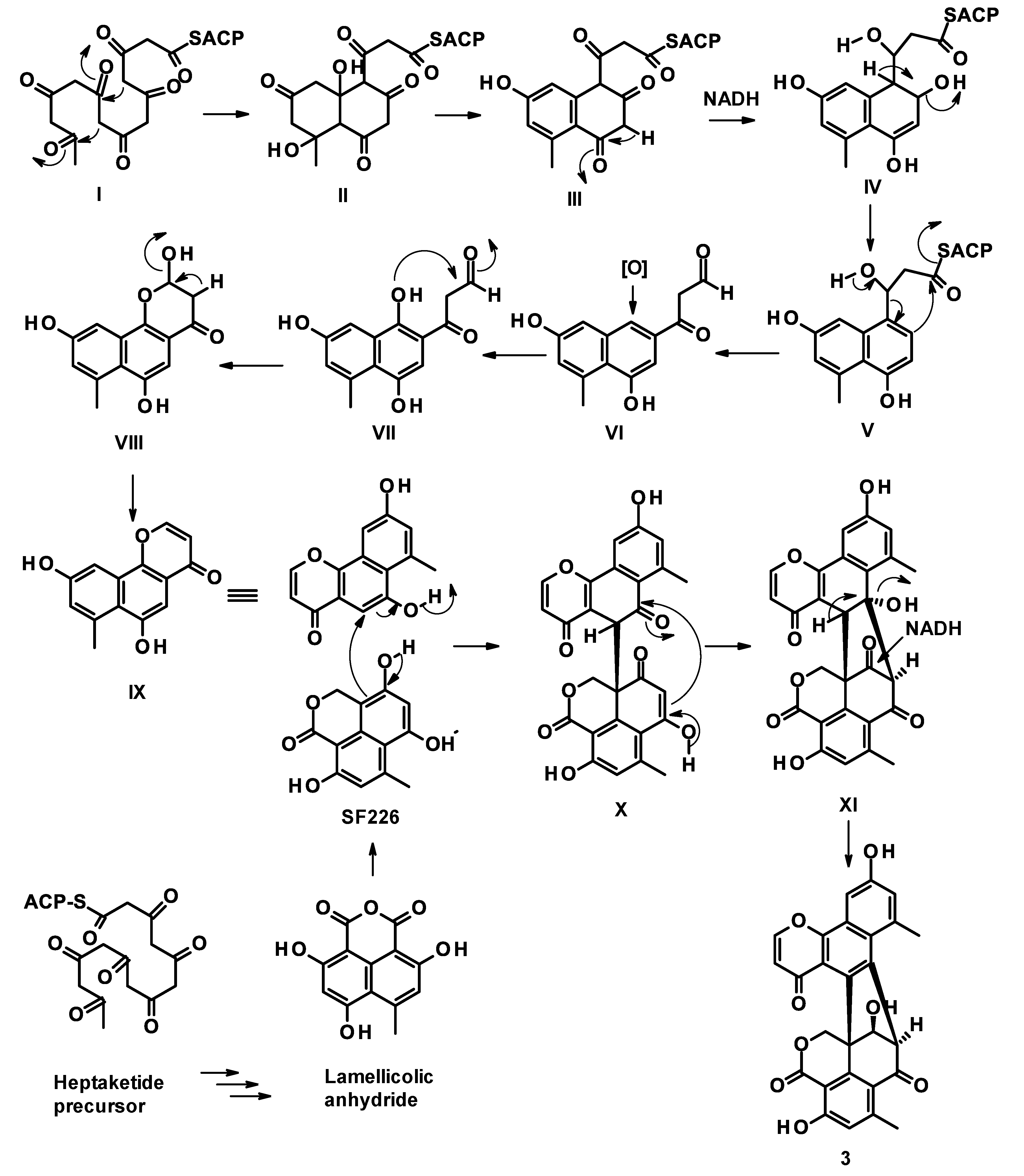 Marinedrugs 21 00194 g002