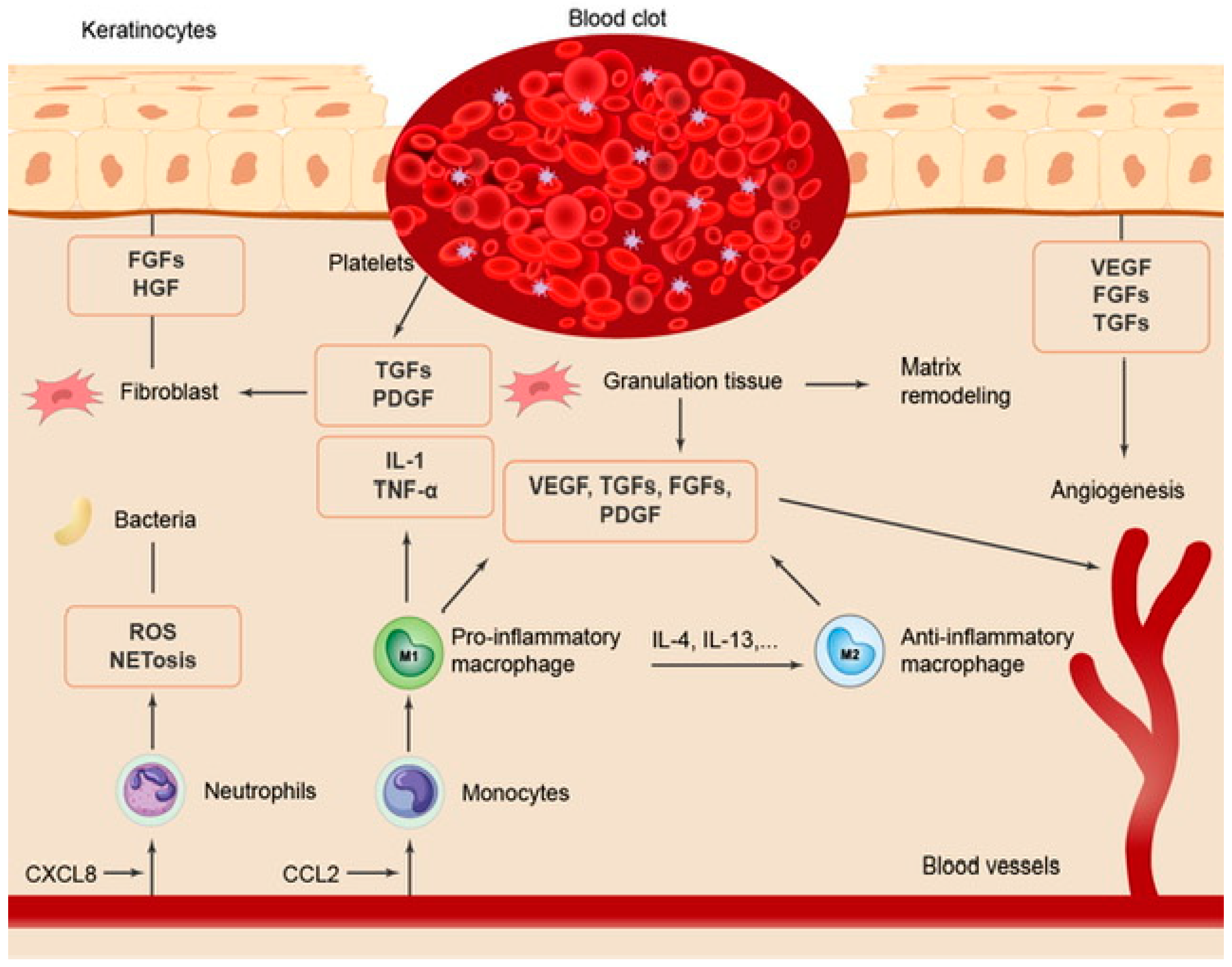 Marinedrugs 21 00201 g002