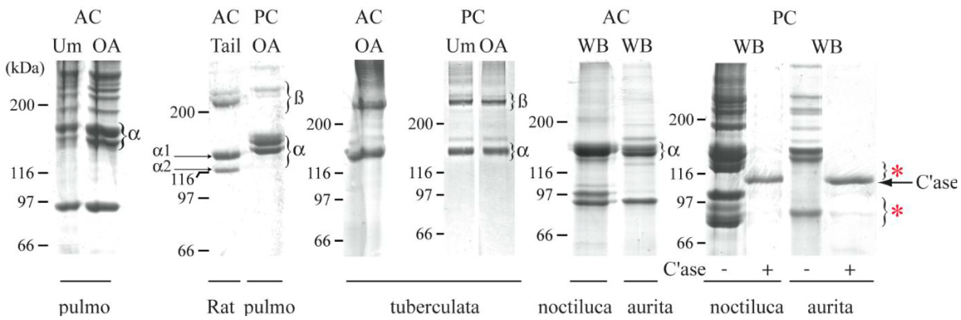 Marinedrugs 21 00201 g005