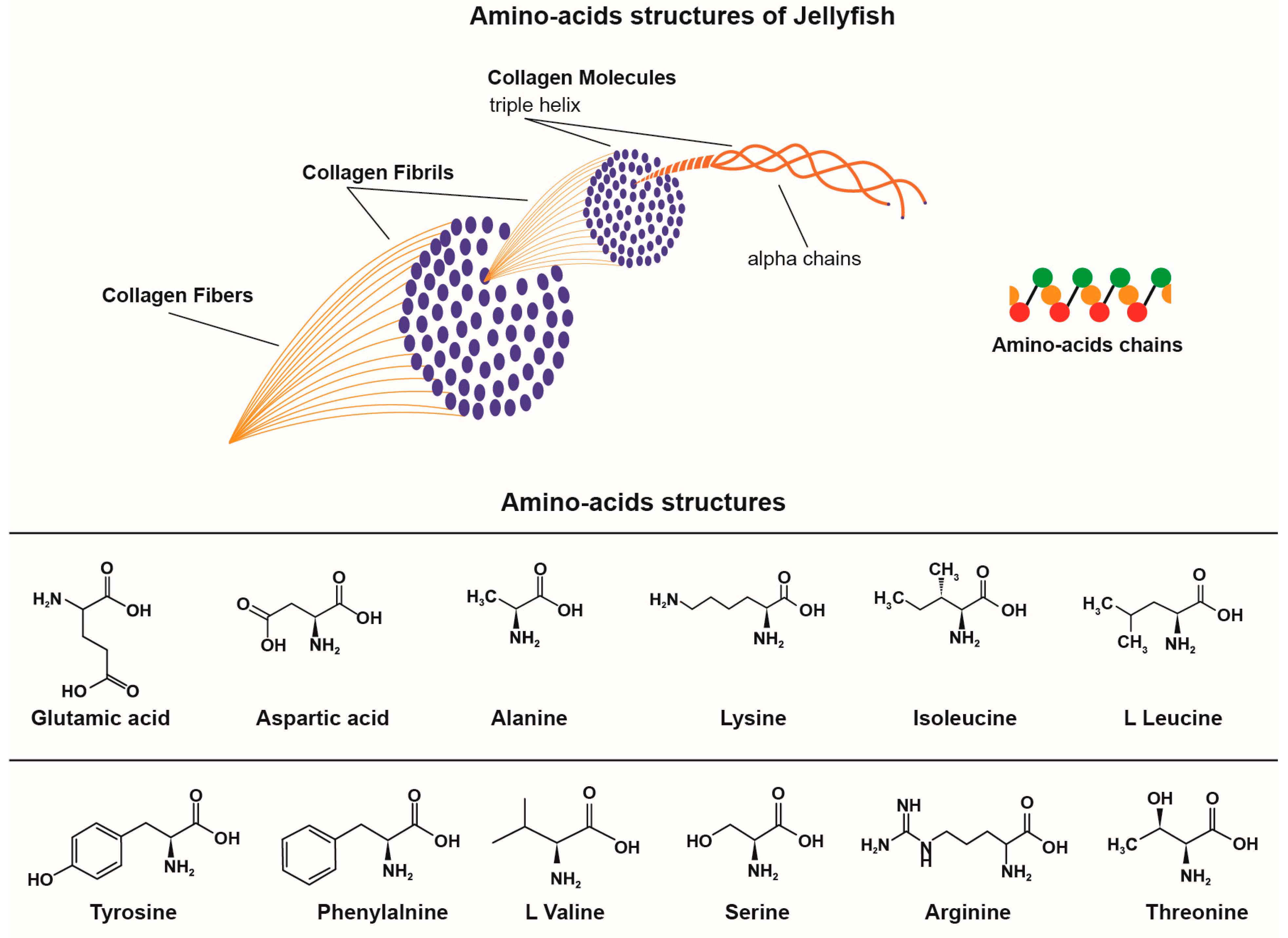 Marinedrugs 21 00201 g006