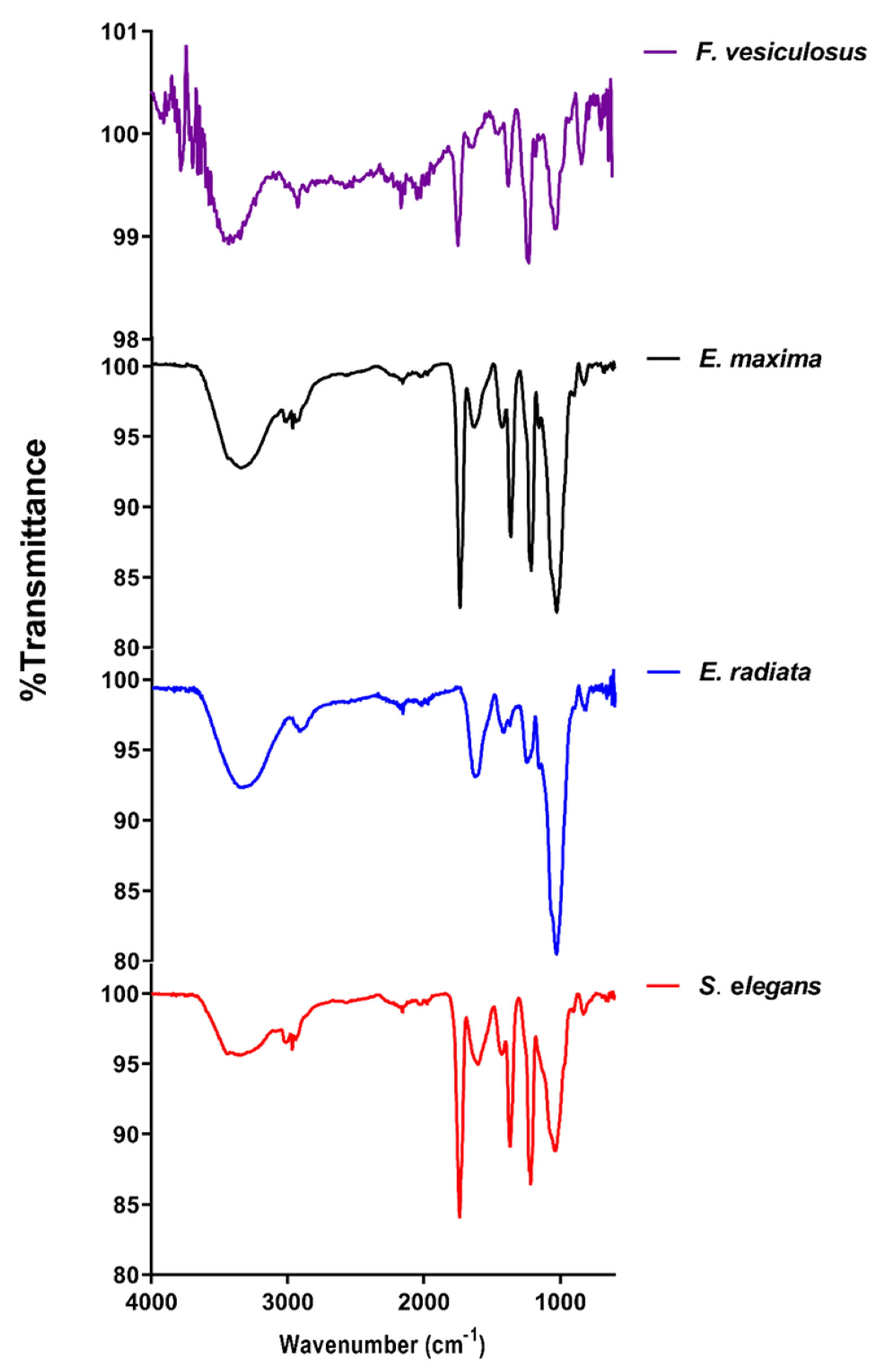 Marinedrugs 21 00203 g001