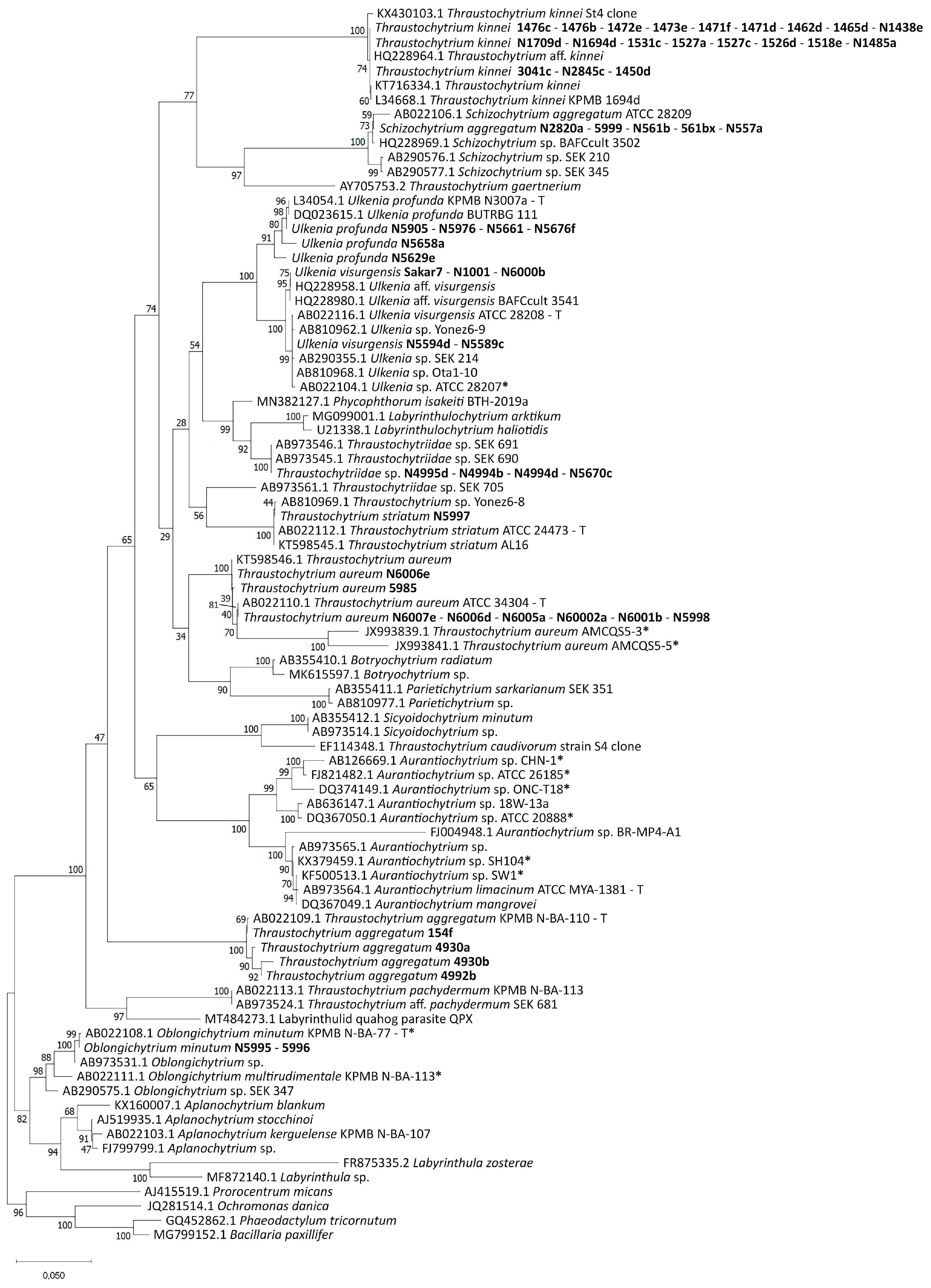 Marinedrugs 21 00204 g001