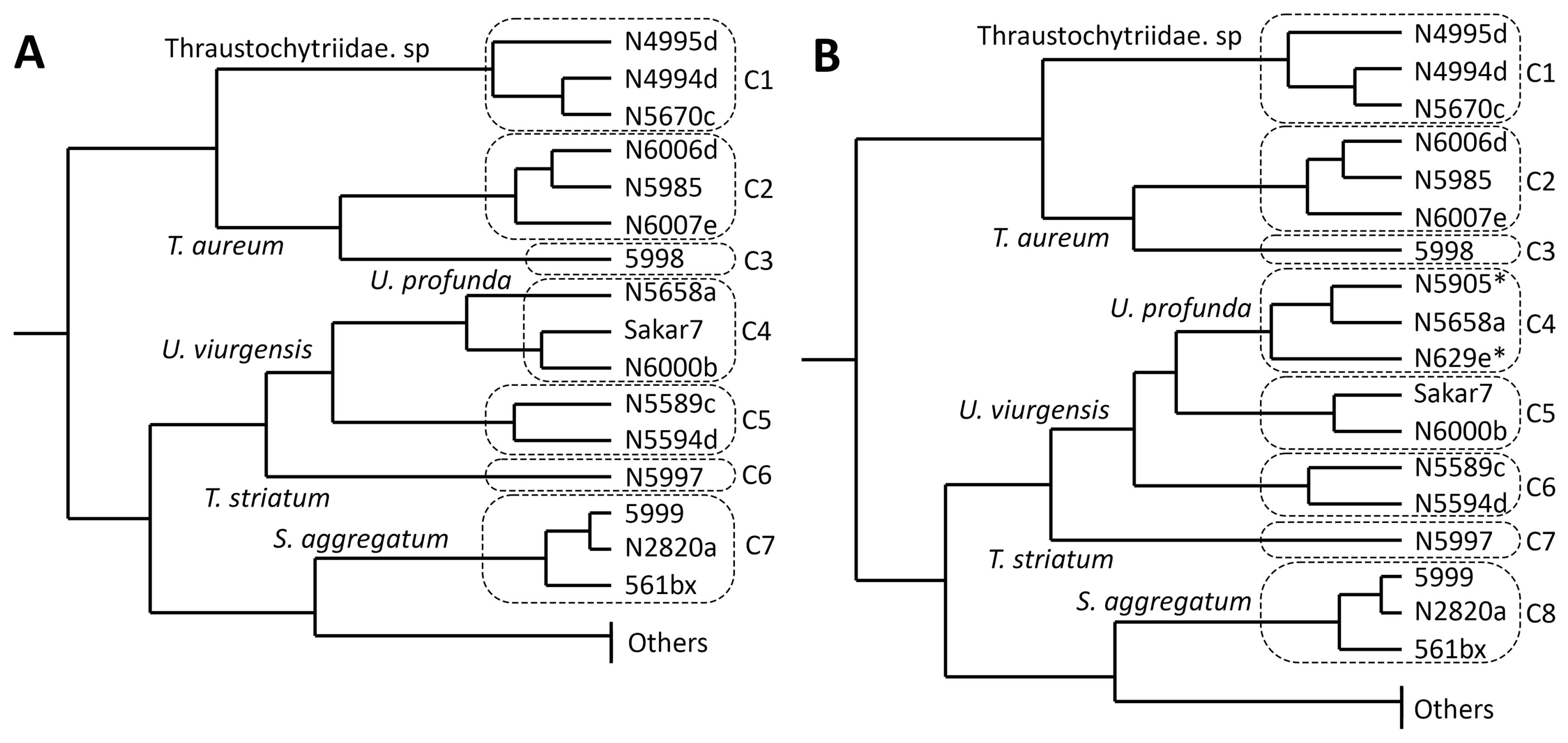 Marinedrugs 21 00204 g003