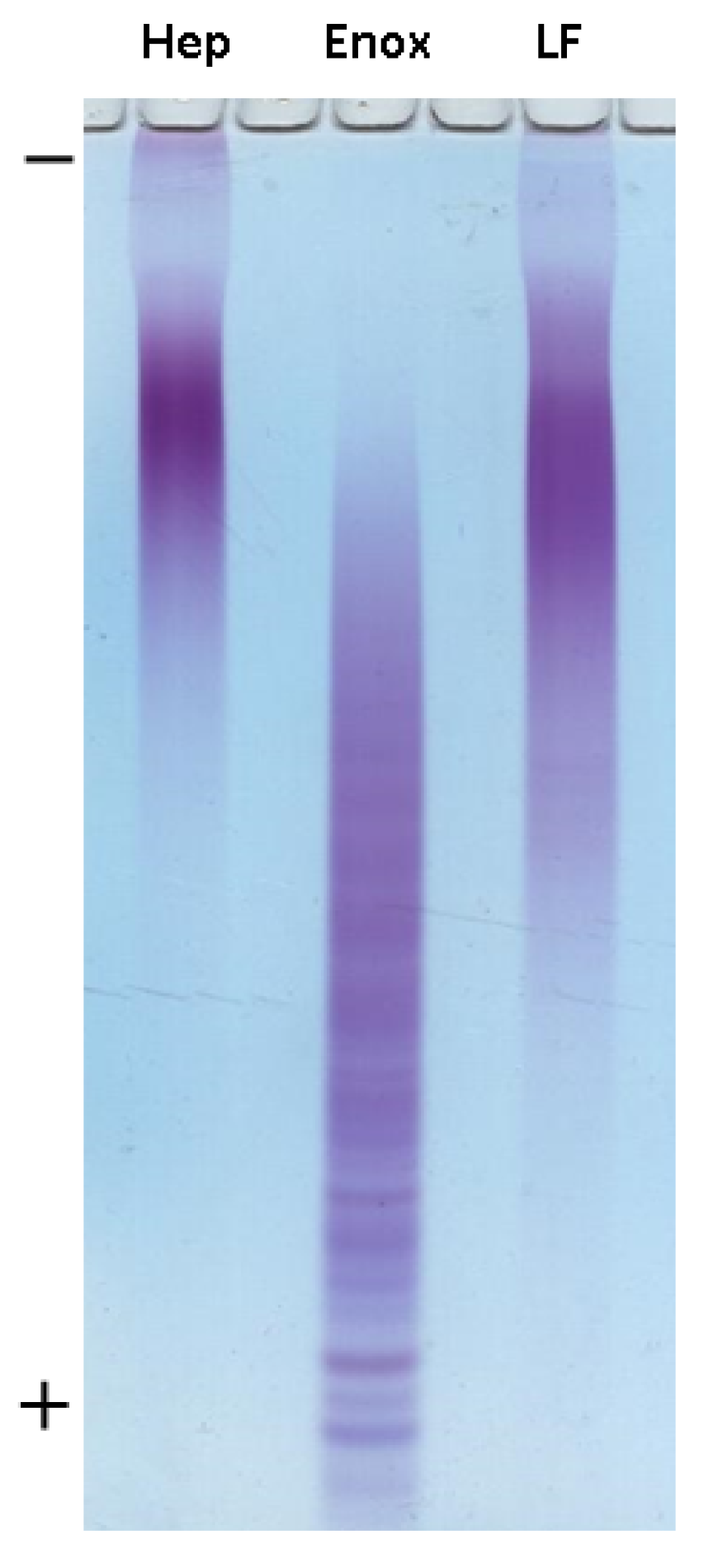 Marinedrugs 21 00205 g004