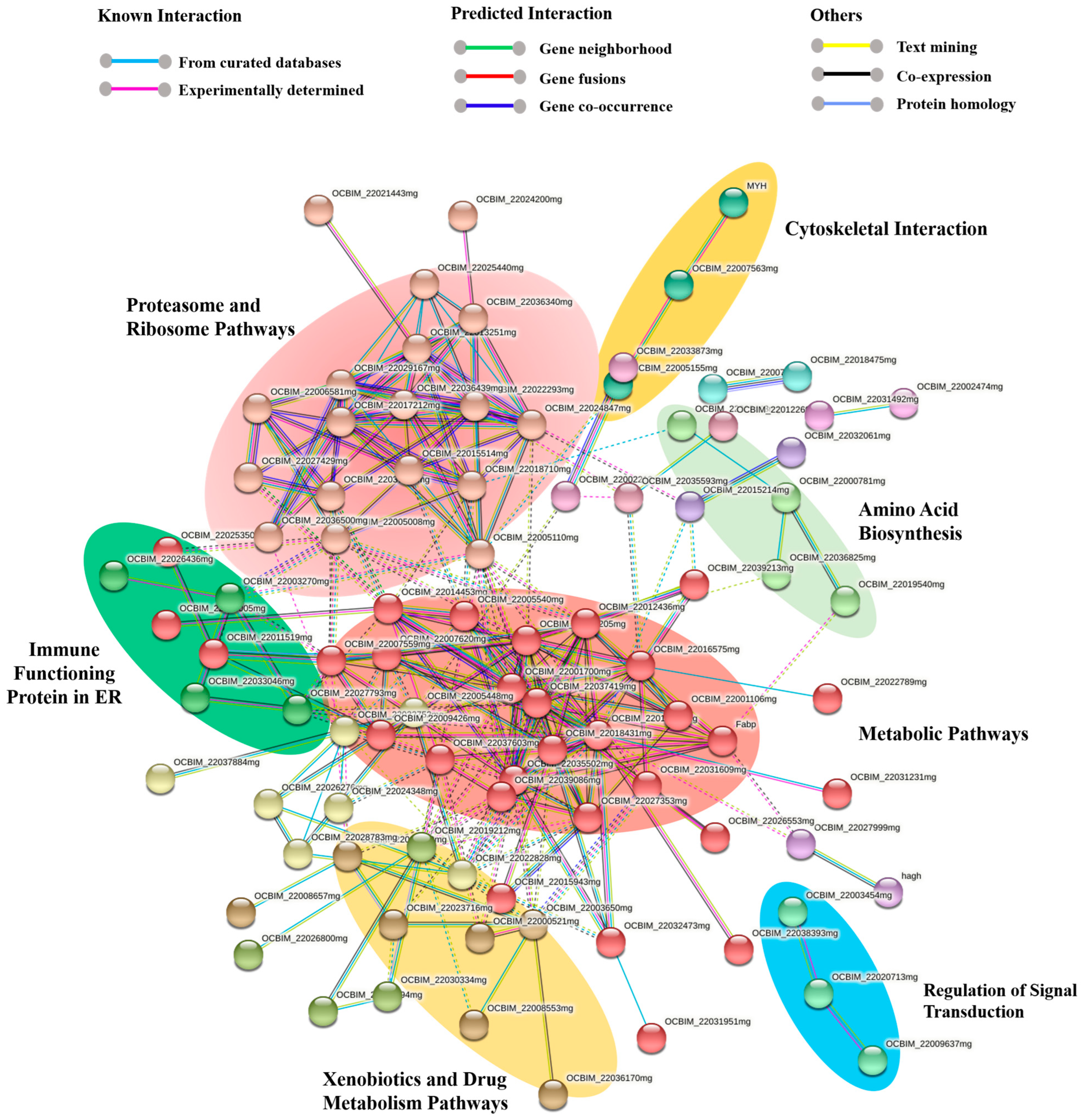 Marinedrugs 21 00206 g005