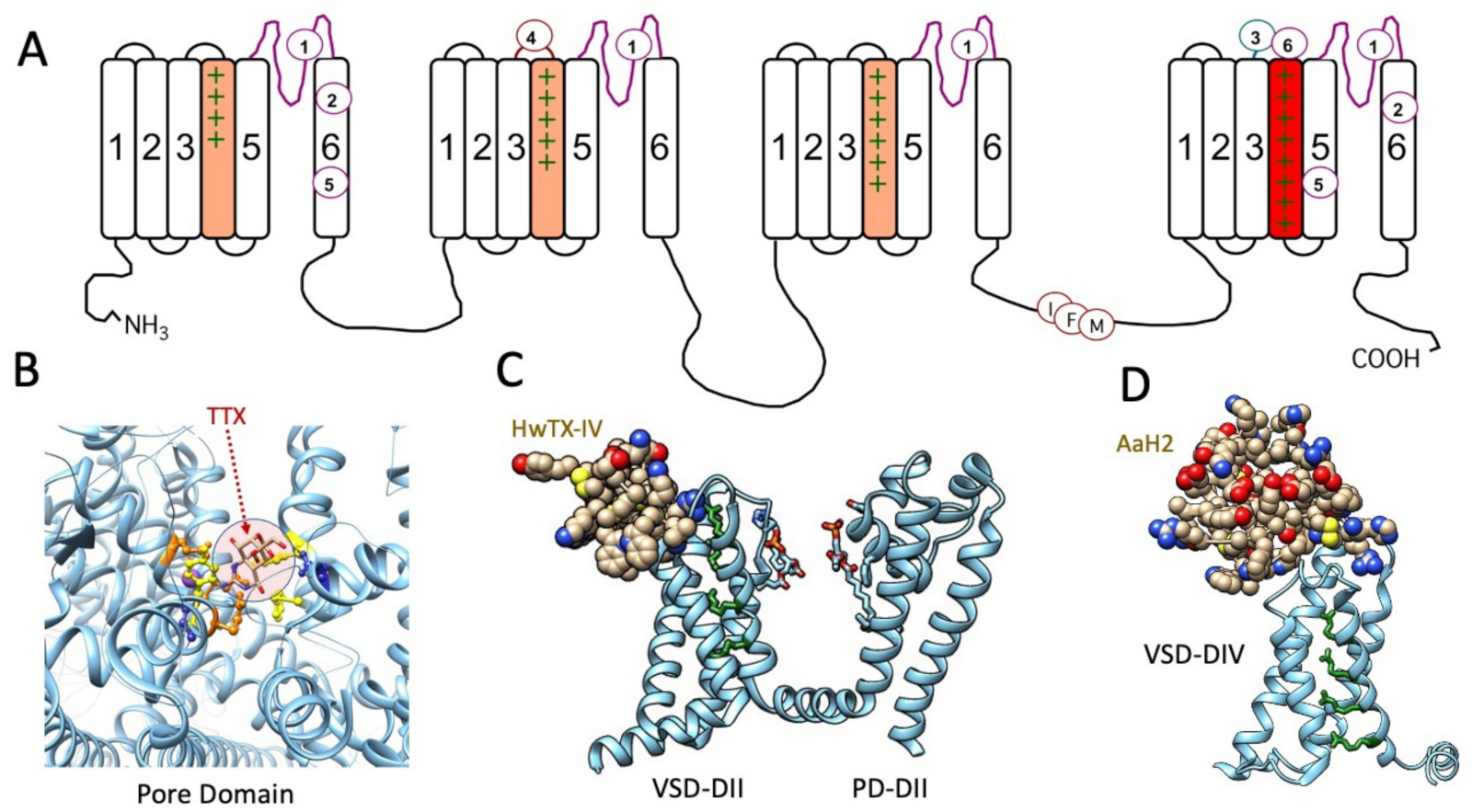 Marinedrugs 21 00209 g001