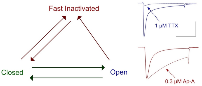 Marinedrugs 21 00209 g003