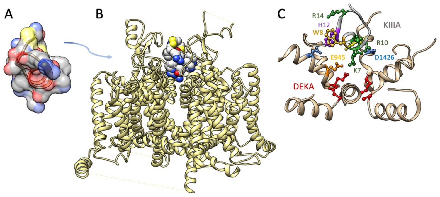 Marinedrugs 21 00209 g005