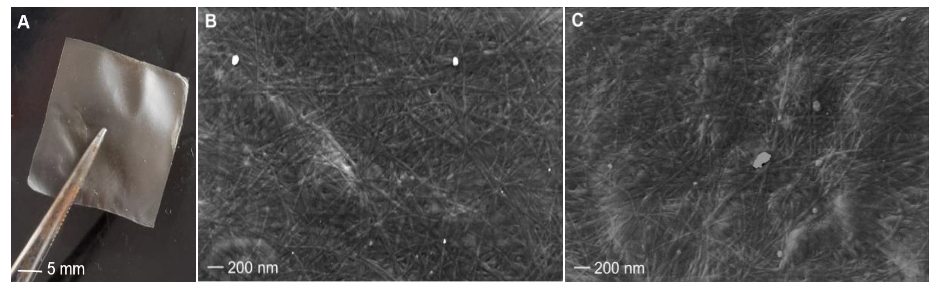 Marinedrugs 21 00210 g006