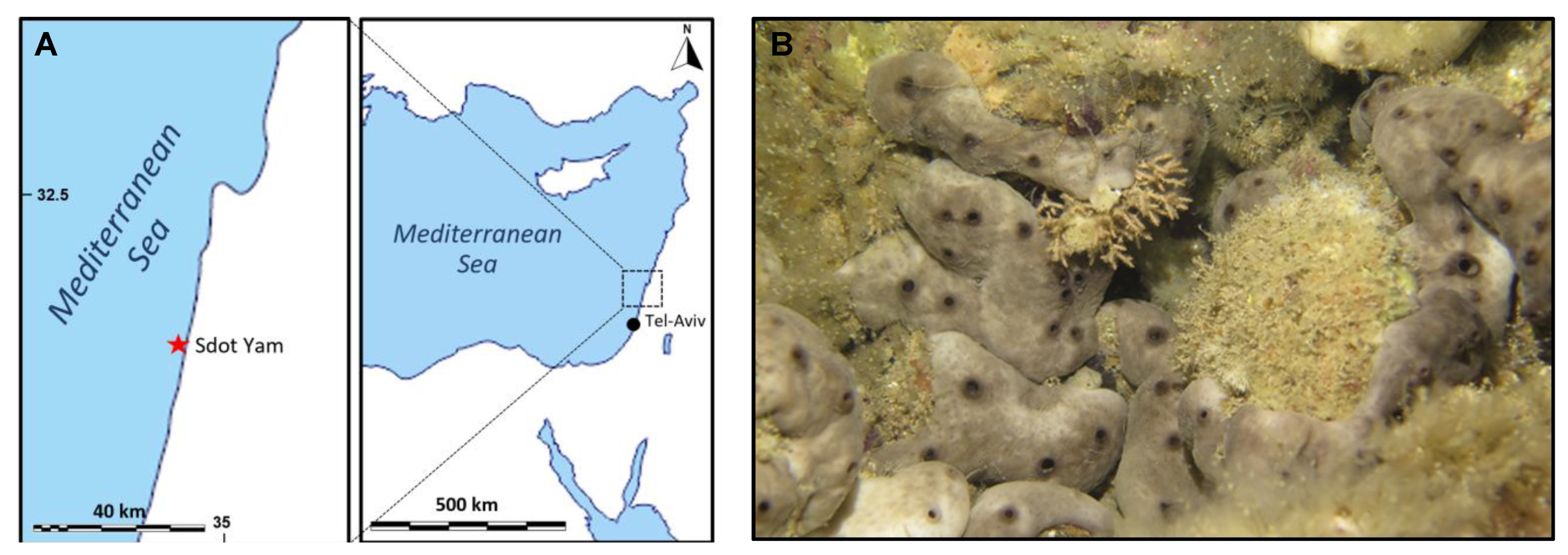 Marinedrugs 21 00210 g010