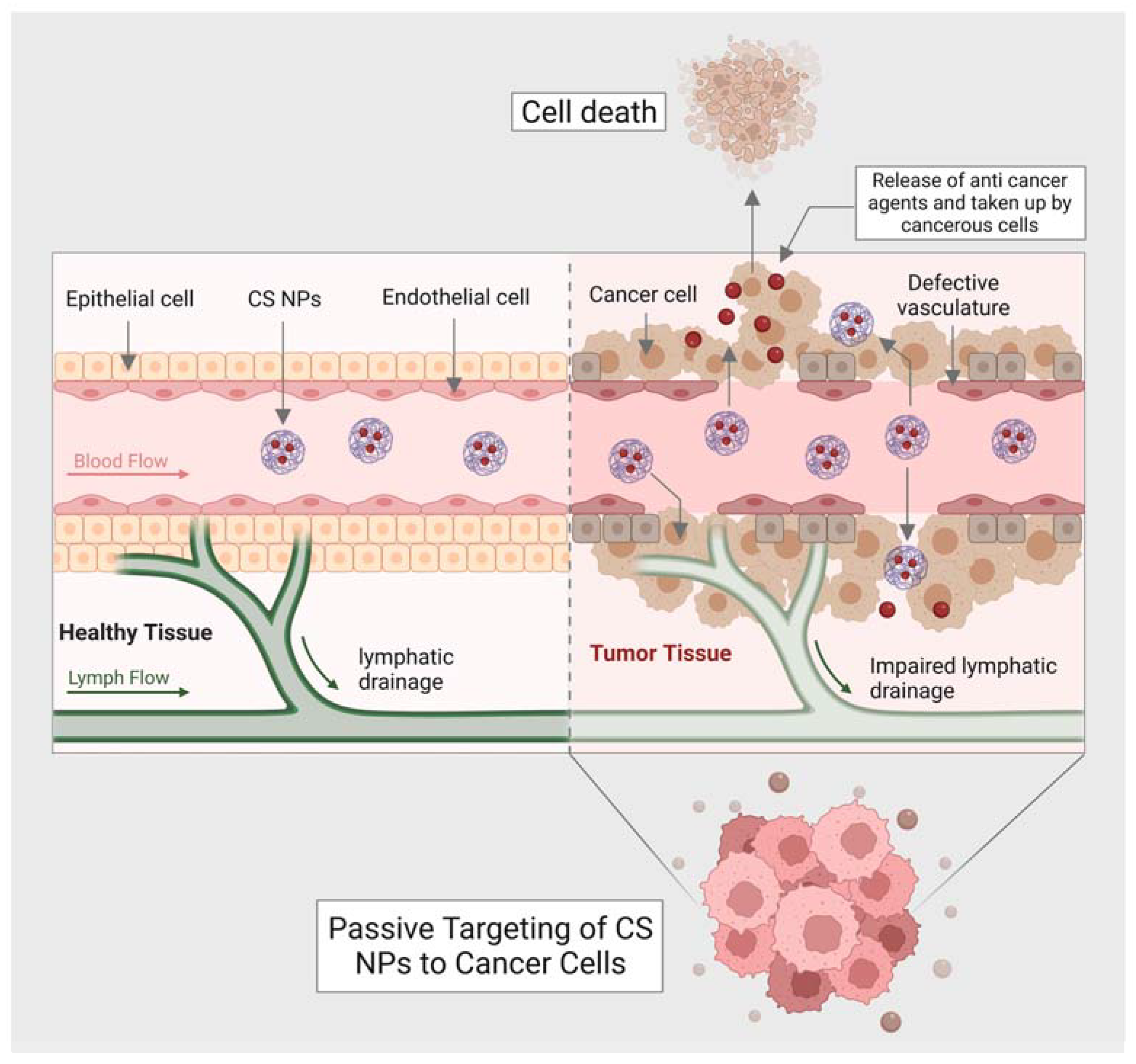 Marinedrugs 21 00211 g003