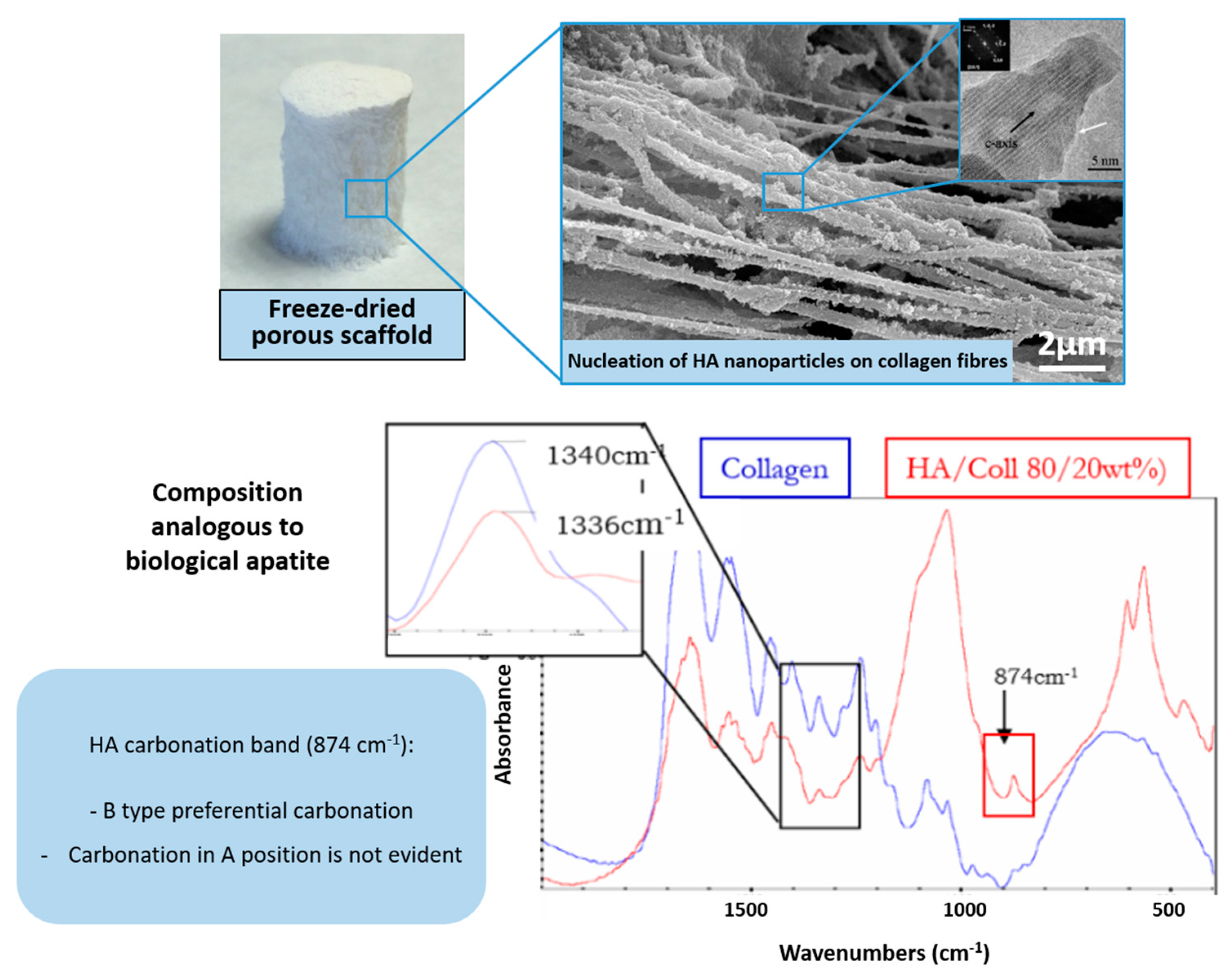Marinedrugs 21 00212 g001