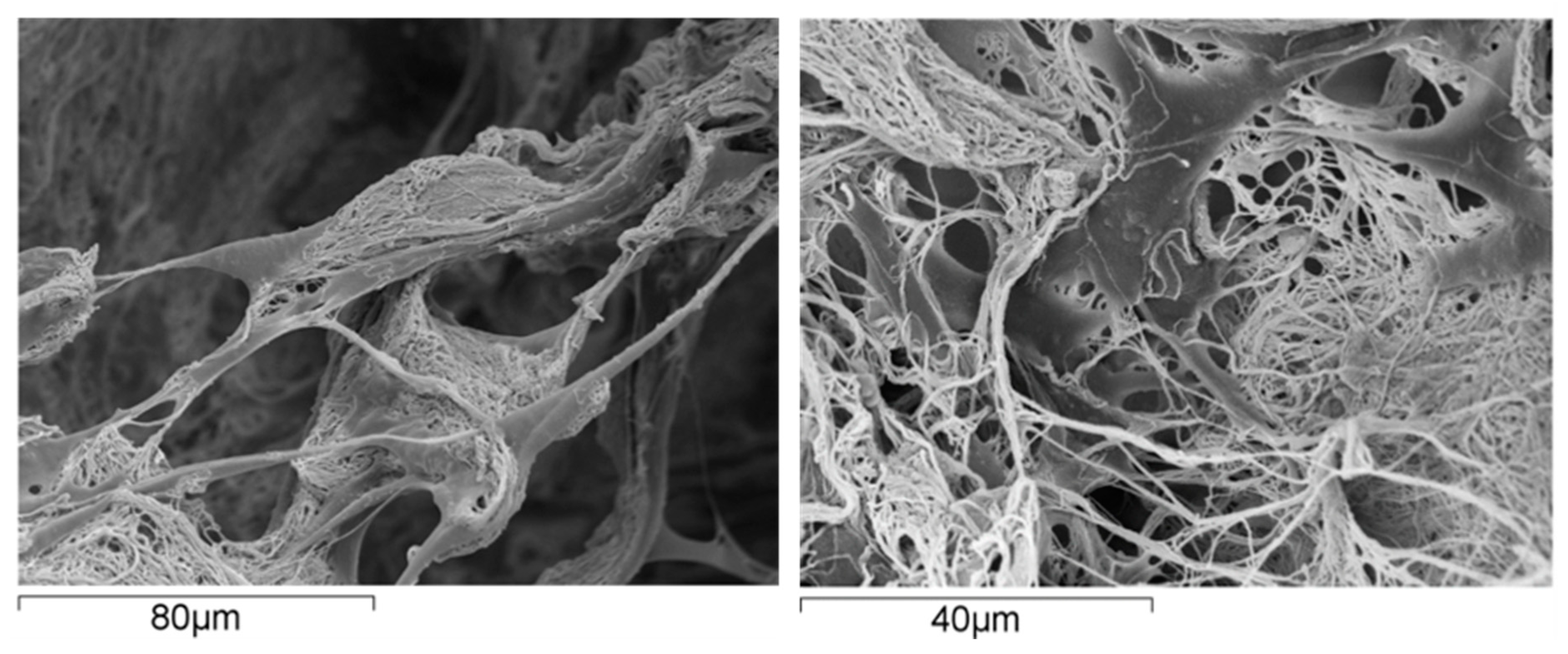 Marinedrugs 21 00212 g002