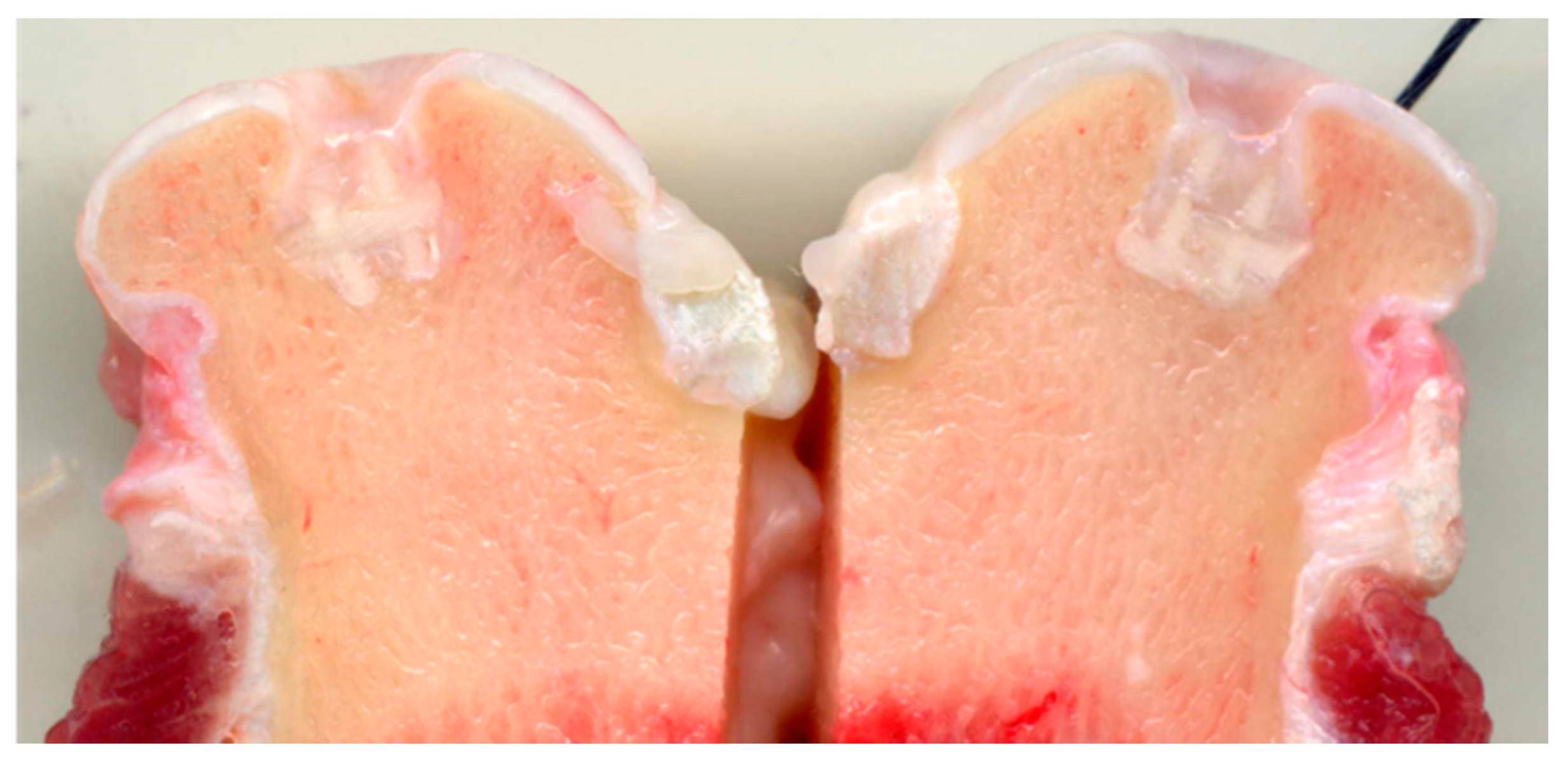 Marinedrugs 21 00212 g004